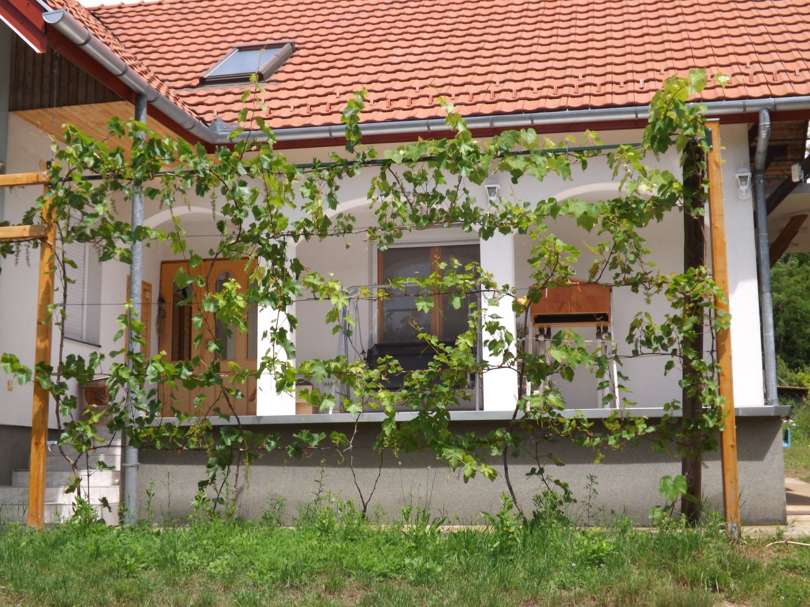 Nagyon ritka: önellátó Balaton melletti élet (AAA-CM174) – Rezi, 18/54. kép
