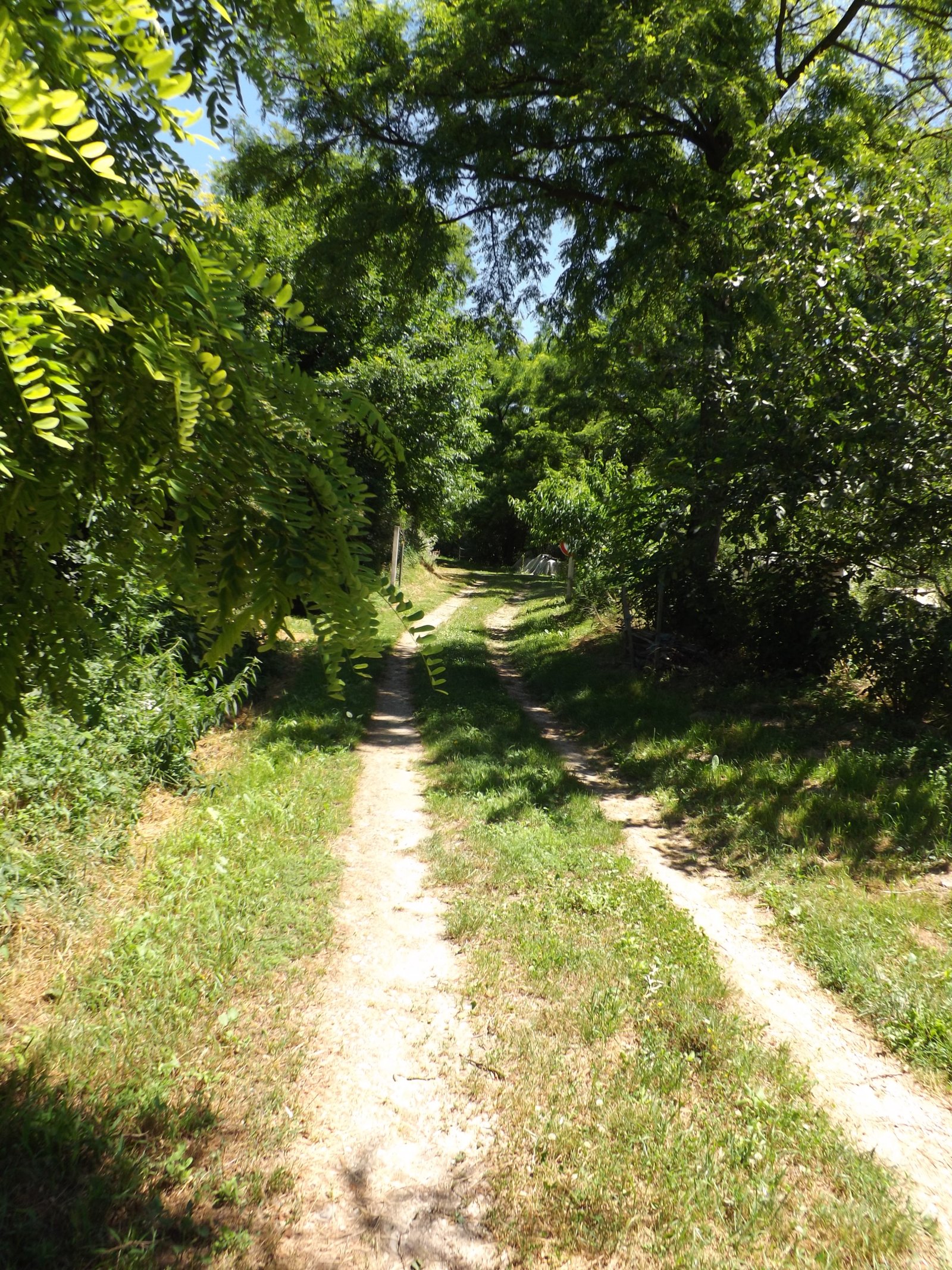 Nagyon ritka: önellátó Balaton melletti élet (AAA-CM174) – Rezi, 37/54. kép
