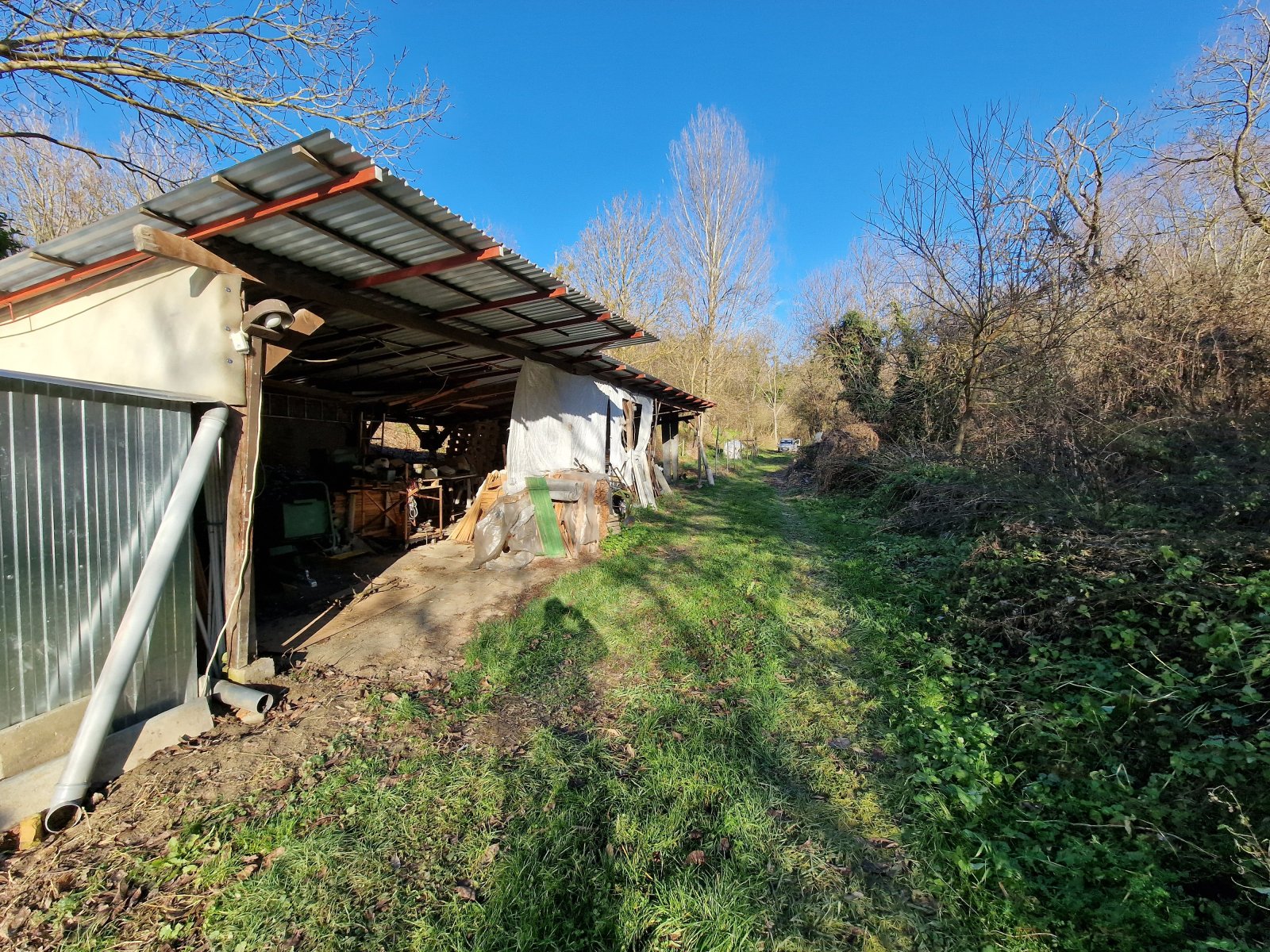 Nagyon ritka: önellátó Balaton melletti élet (AAA-CM174) – Rezi, 46/54. kép
