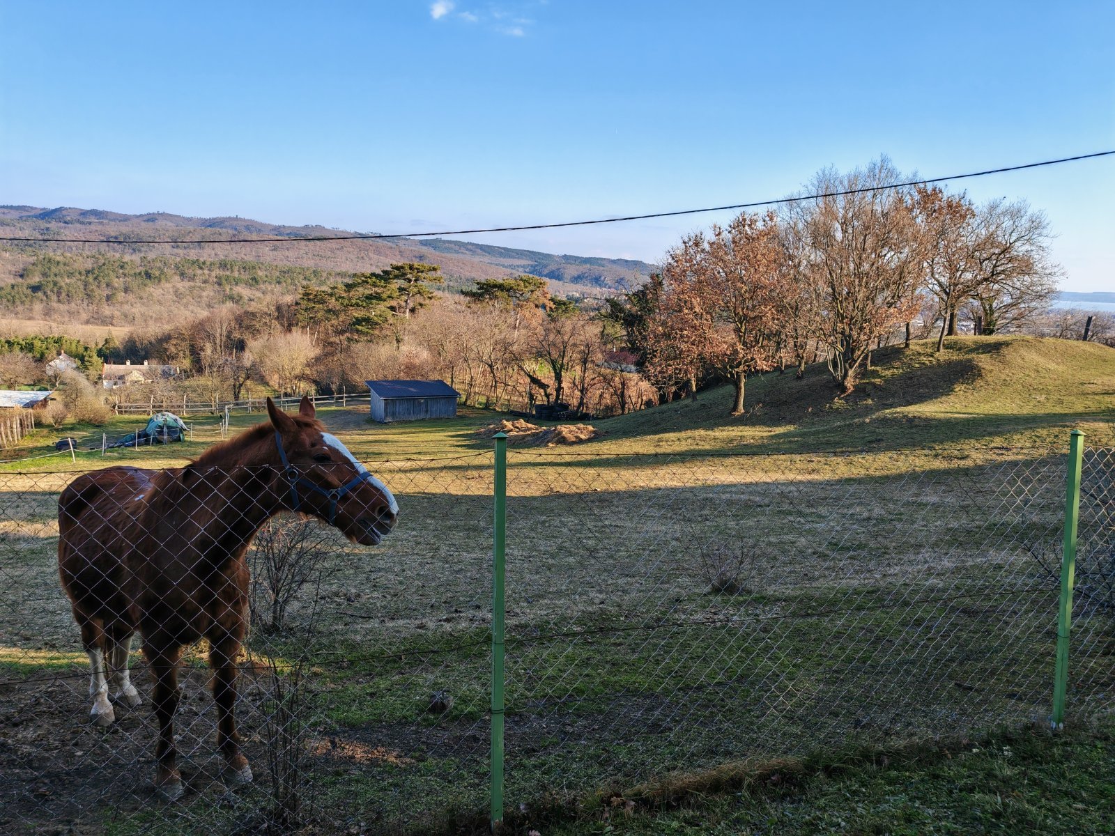 (AAA) Romantisches Reetdachhaus mit Balaton-Panorama – Cserszegtomaj, Bild 18 von 52