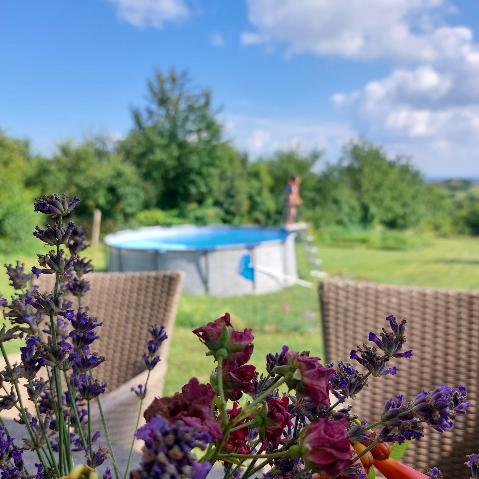 Fantastisch object voor 2 gezinnen aan de noordkust met uitzicht op het Balatonmeer (AAA) – Cserszegtomaj, foto 18 van 52
