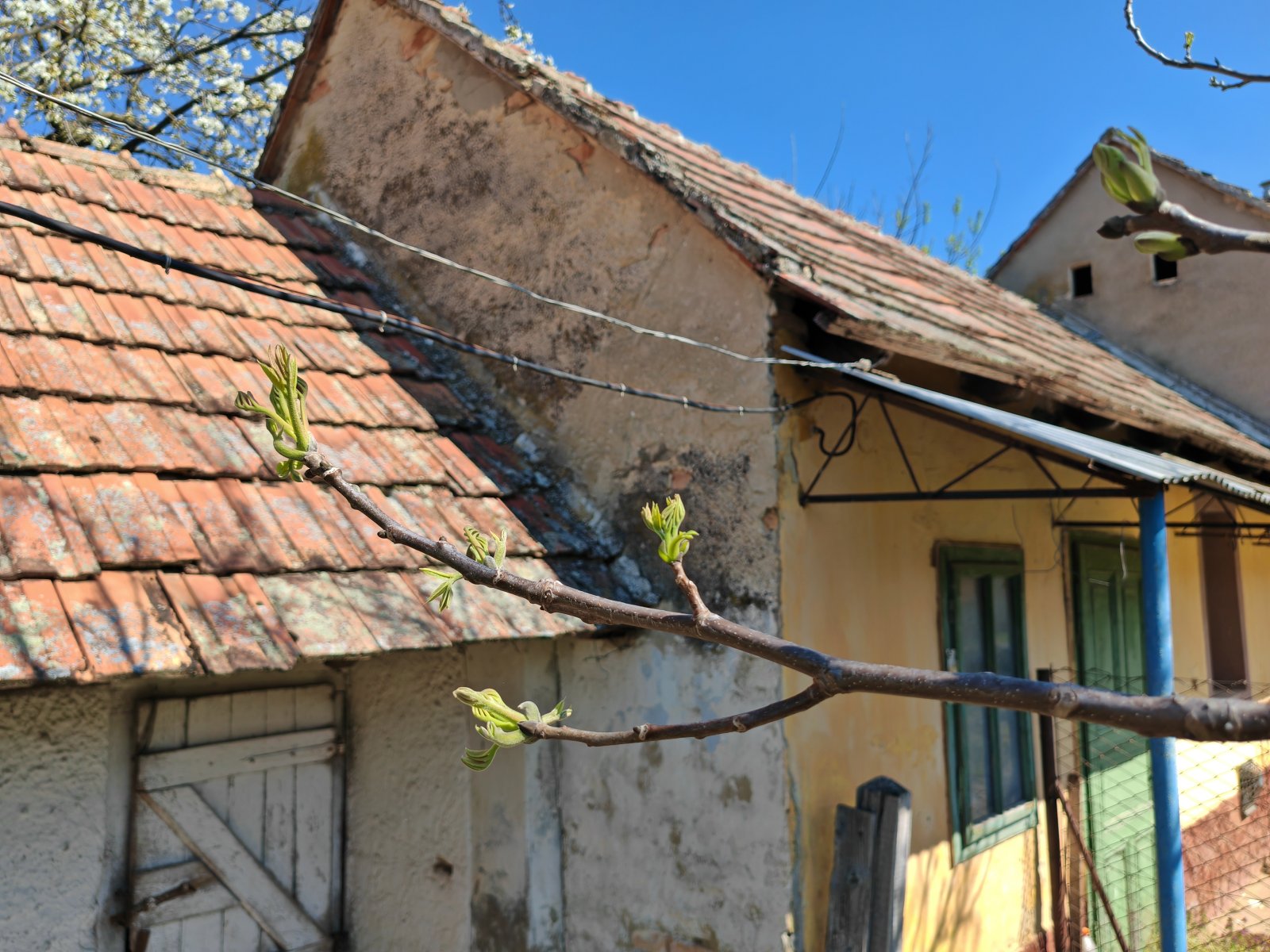 Großes Wohnhaus in netter Lage bietet ein enormes Potential (BCA) – Sávoly, Bild 20 von 27