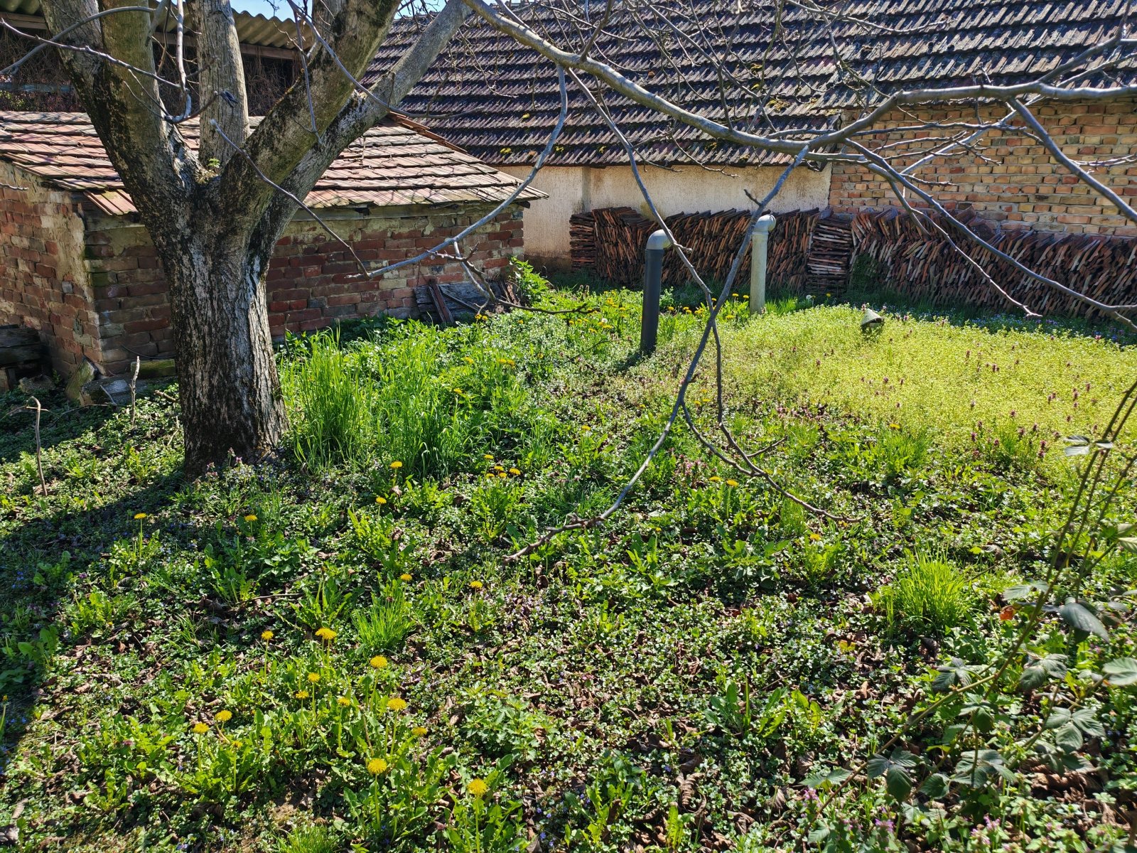 Großes Wohnhaus in netter Lage bietet ein enormes Potential (BCA) – Sávoly, Bild 21 von 27