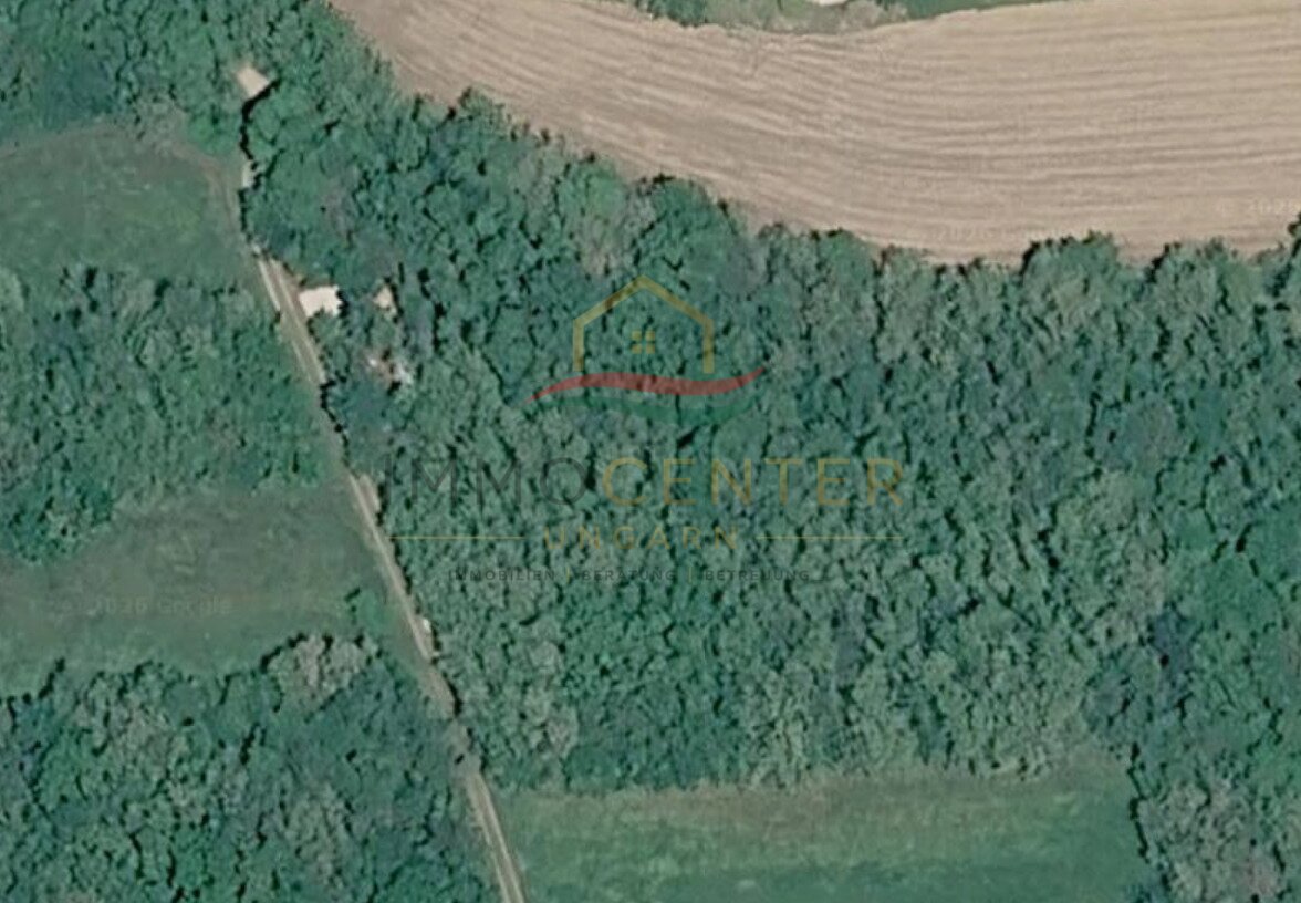 (A_A) een groot bosrijk gebied in de buurt van Héviz – bei Sarmellek, foto 2 van 3