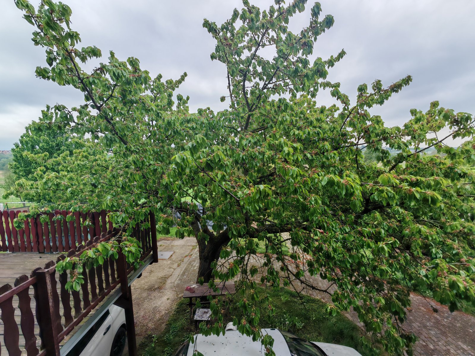 3-story family house in a preferred, quiet residential area near Hévíz Thermal Baths (ABA-CM203) – Alsópáhok, photo 5 of 48