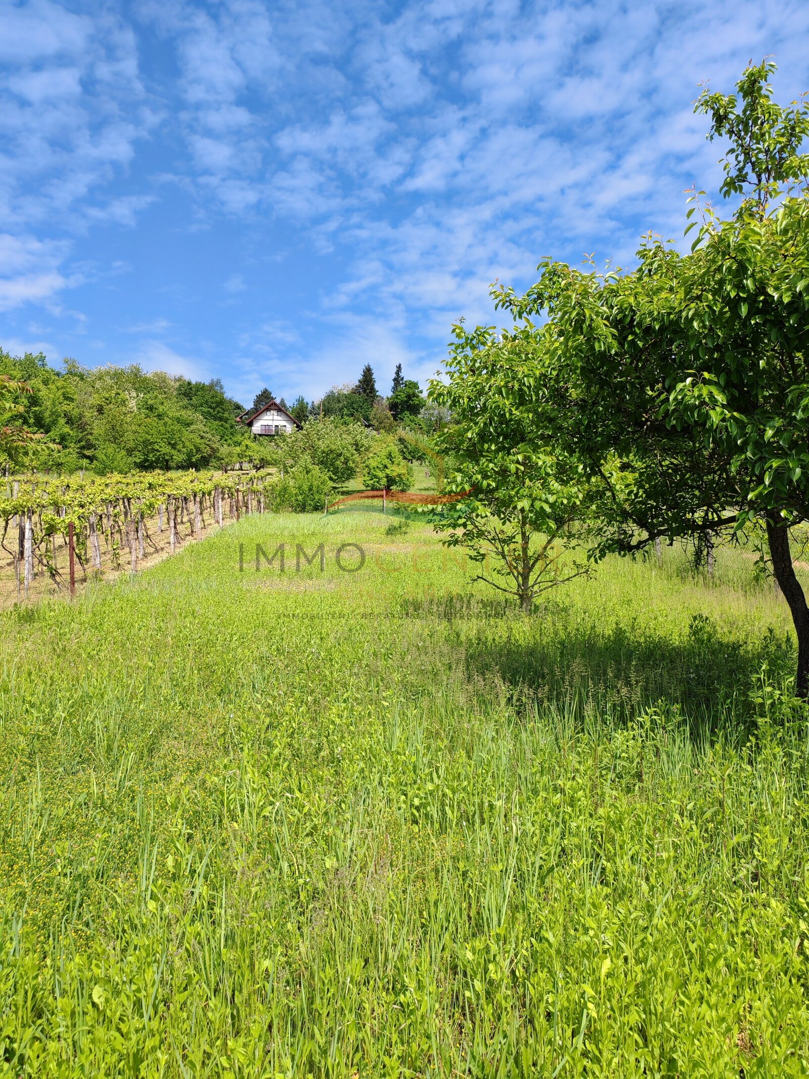 (BBA) Romantisches Weinberghaus bei Héviz – Rezi, foto 6 van 27