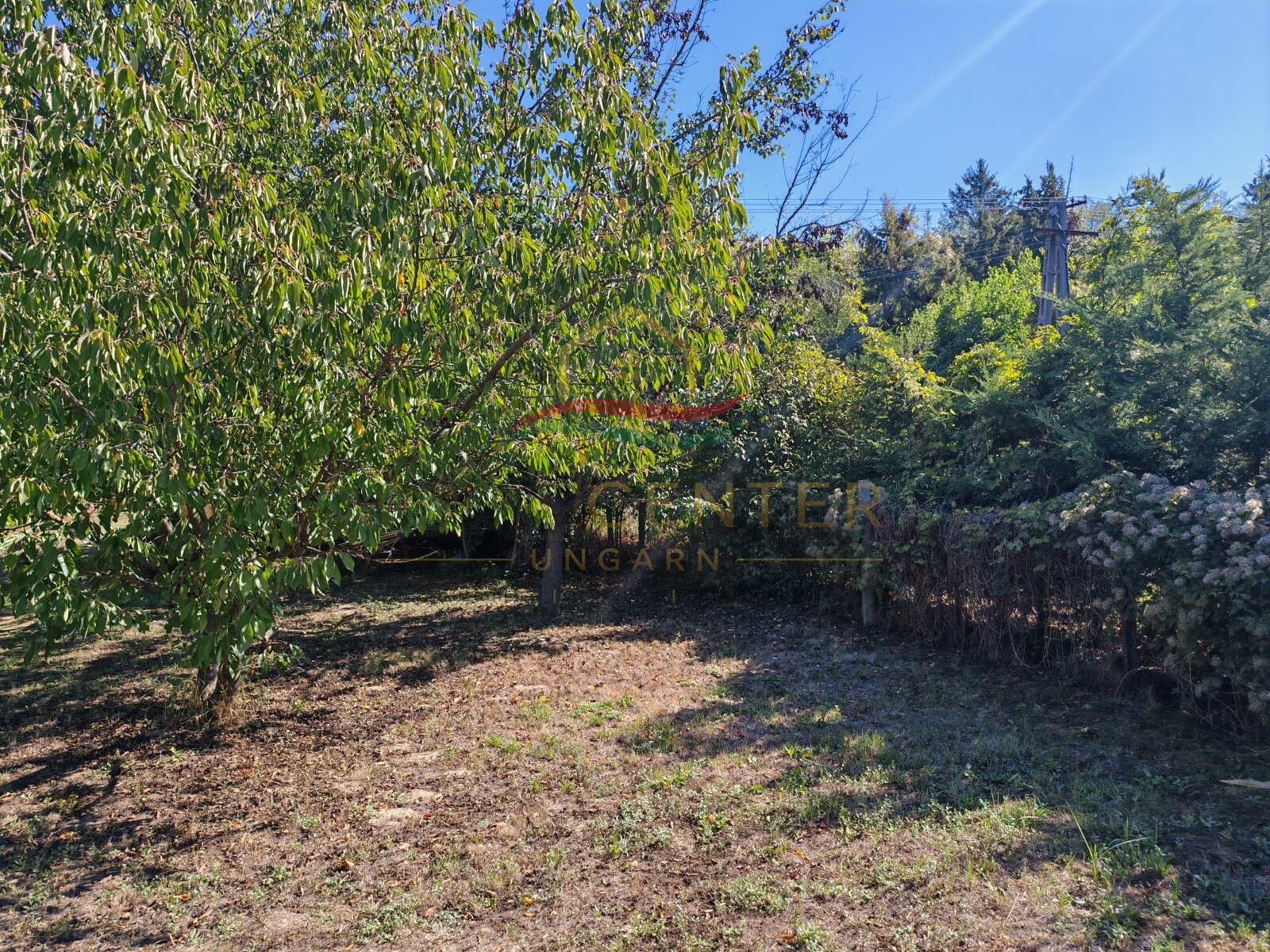 (BBA) Romantisches Weinberghaus bei Héviz – Rezi, foto 7 van 27