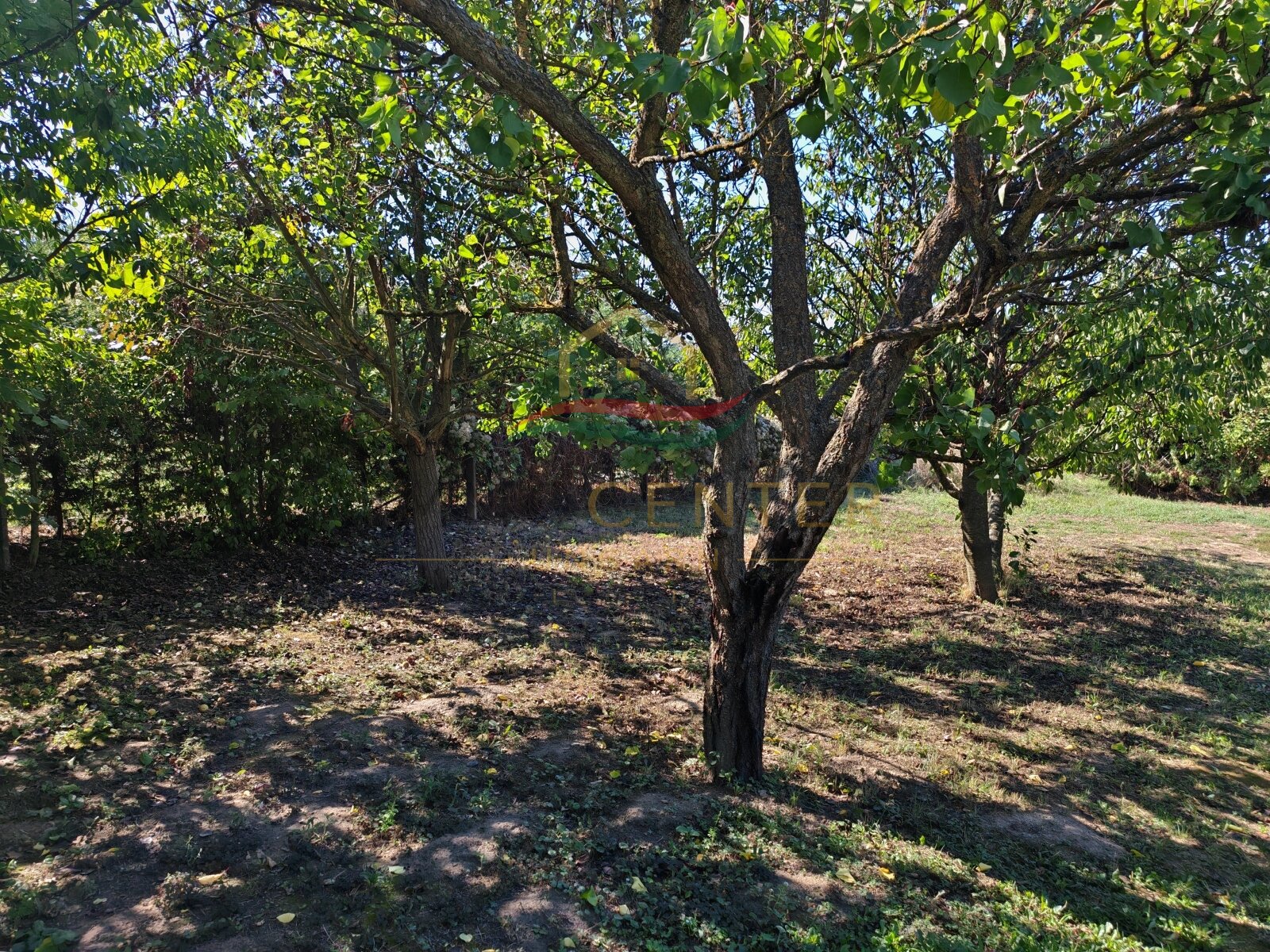 (BBA) Romantisches Weinberghaus bei Héviz – Rezi, foto 24 van 27