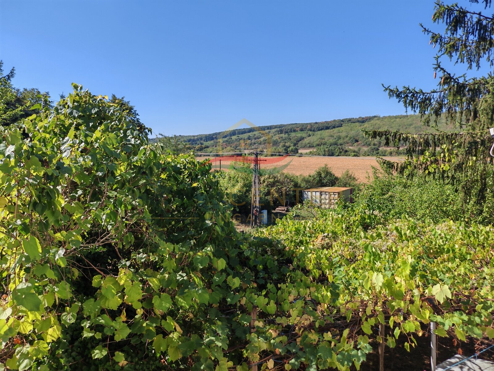 (BBA) Romantisches Weinberghaus bei Héviz – Rezi, foto 25 van 27