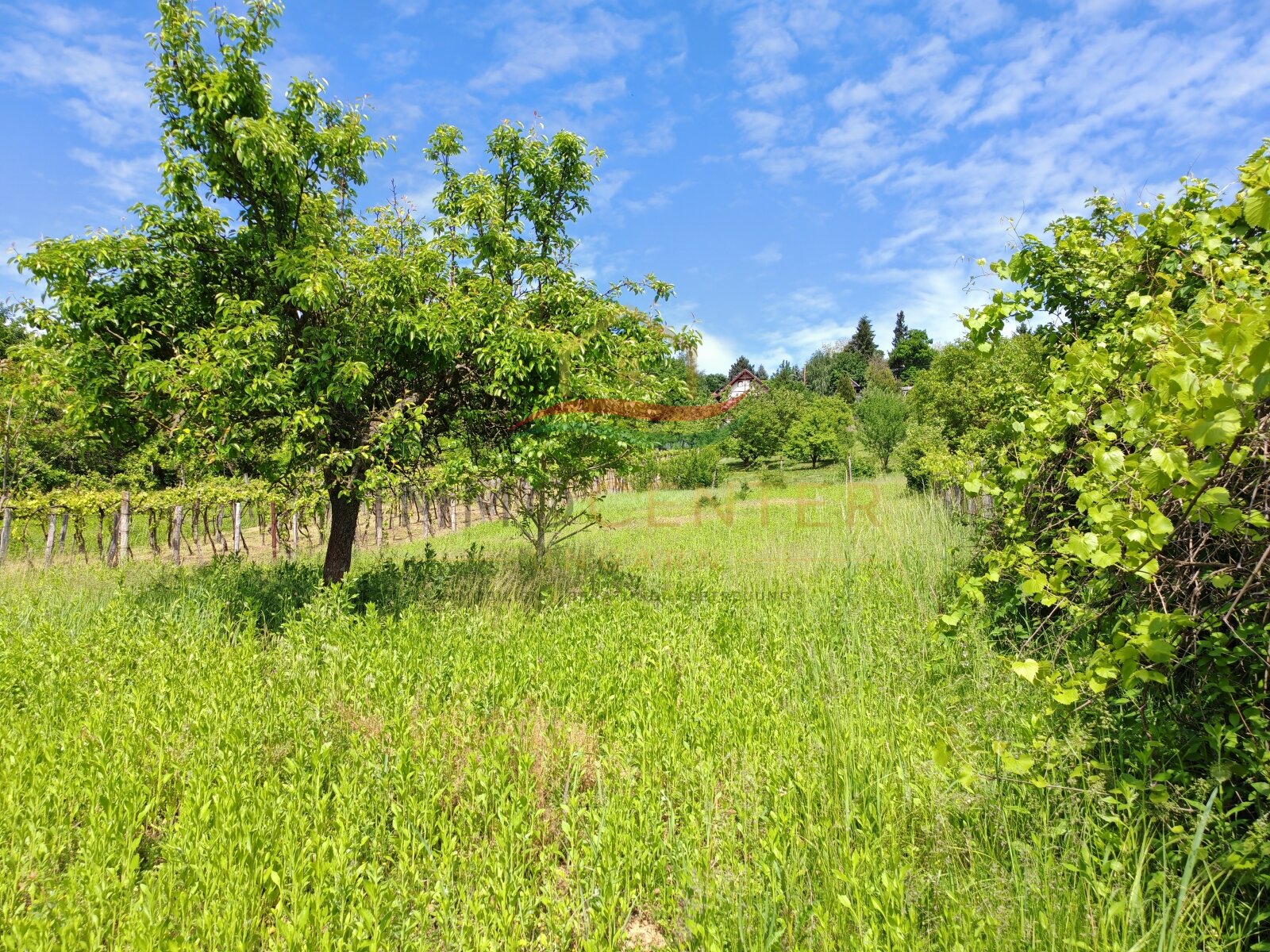 (BBA) Romantisches Weinberghaus bei Héviz – Rezi, foto 26 van 27