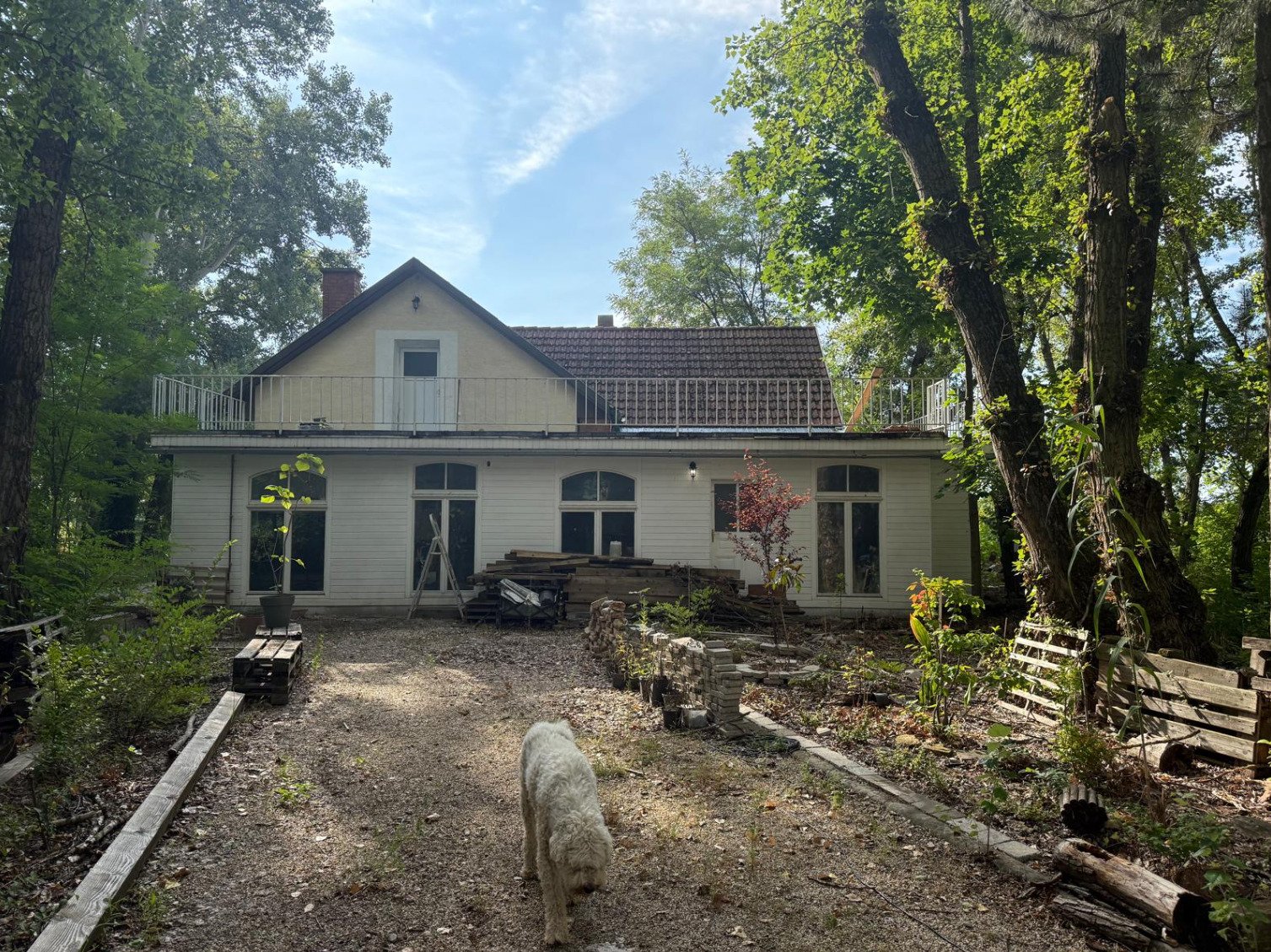 Exkluzív ingatlancsomag házzal, tóval és természeti paradicsommal - 4 hektárnyi tiszta magánélet! – bei Mosonmagyaróvár, 20/21. kép