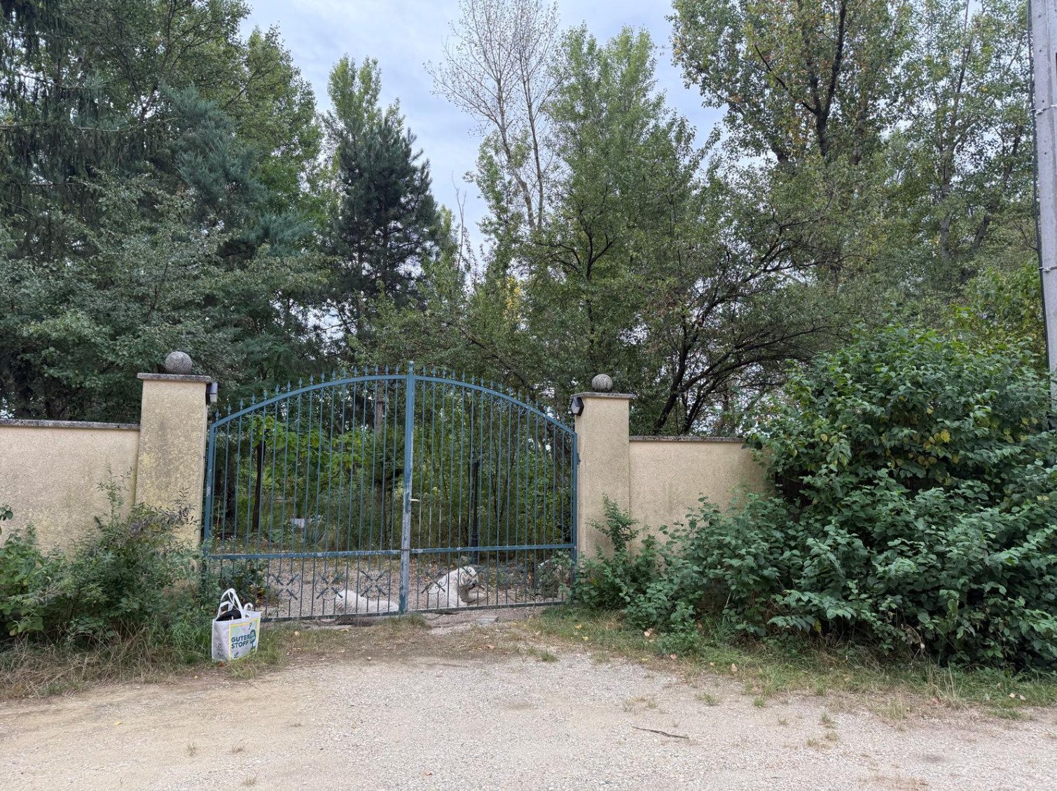 Exkluzív ingatlancsomag házzal, tóval és természeti paradicsommal - 4 hektárnyi tiszta magánélet! – bei Mosonmagyaróvár, 21/21. kép