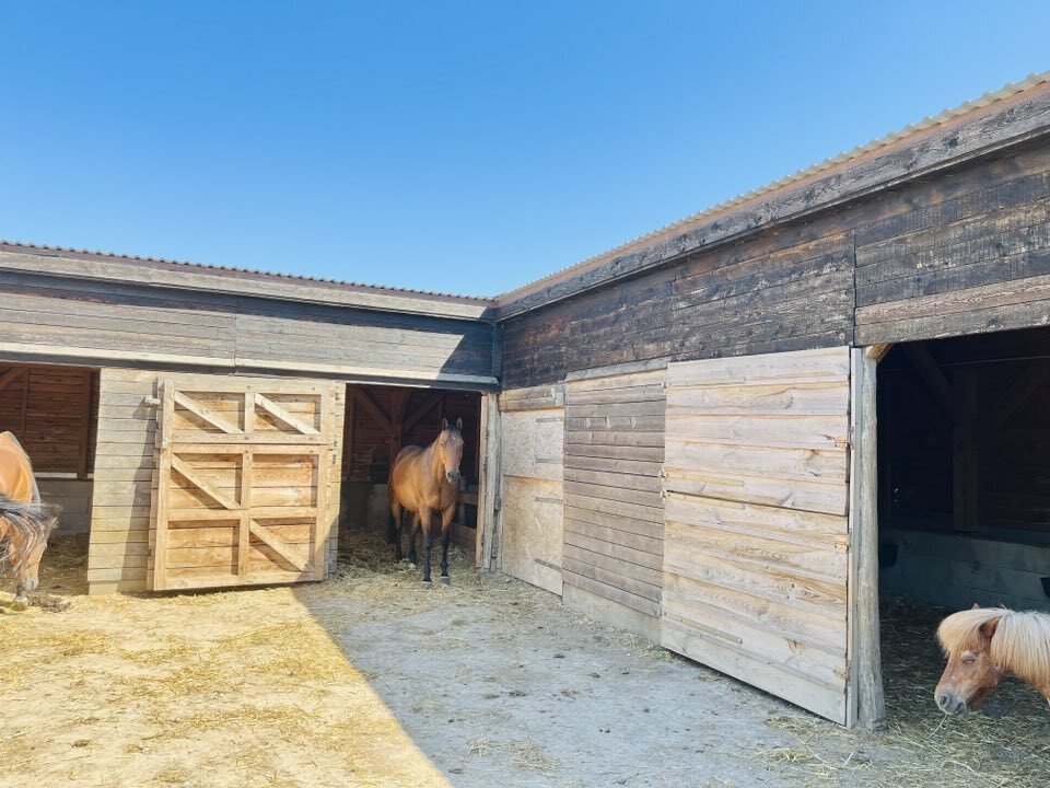 Zeer goed onderhouden vrijstaande woning & mogelijkheid tot paardenhouderij nabij Héviz (AAA), foto 12 van 22