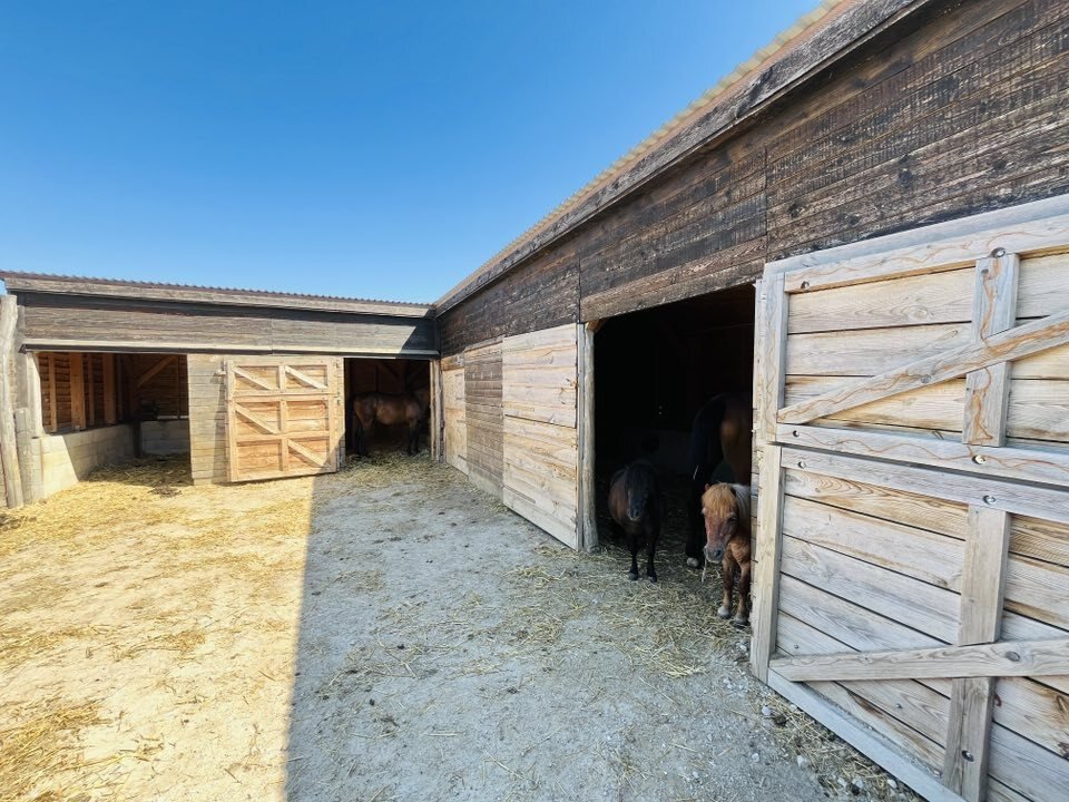 Zeer goed onderhouden vrijstaande woning & mogelijkheid tot paardenhouderij nabij Héviz (AAA), foto 14 van 22