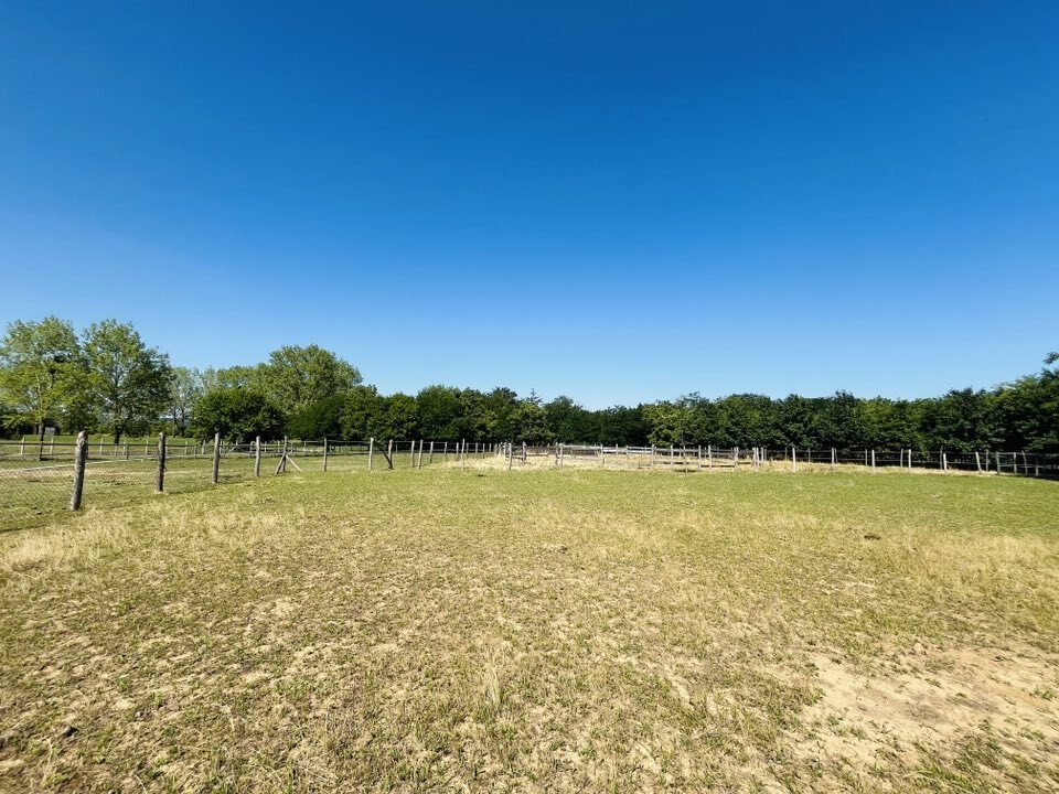 Zeer goed onderhouden vrijstaande woning & mogelijkheid tot paardenhouderij nabij Héviz (AAA), foto 16 van 22