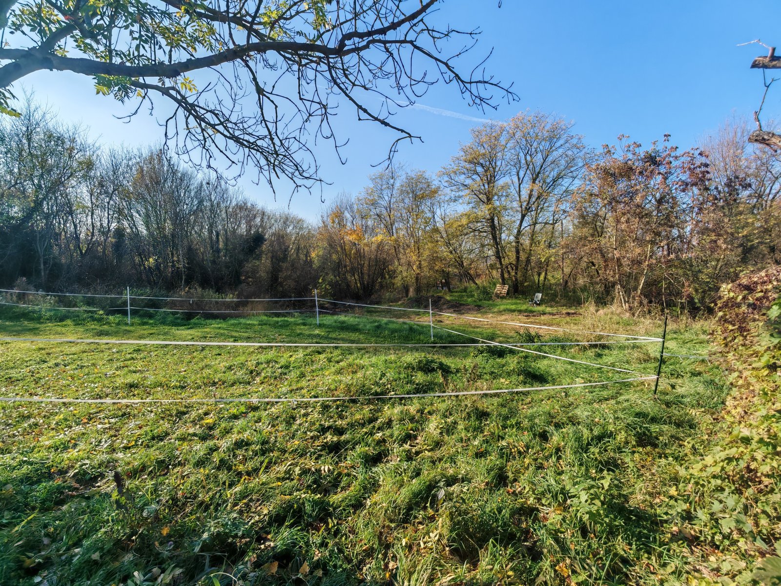 (AAA) Groot landhuis op een zeer rustige, idyllische locatie, maar toch centraal gelegen – Alsópáhok, foto 46 van 57