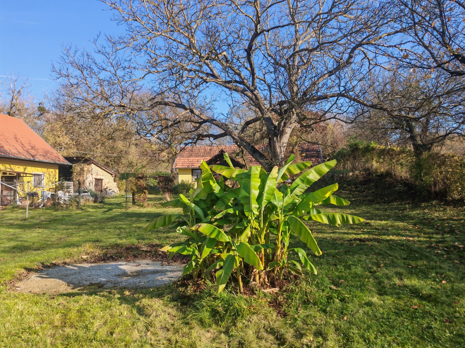 (AAA) Groot landhuis op een zeer rustige, idyllische locatie, maar toch centraal gelegen – Alsópáhok, foto 53 van 57