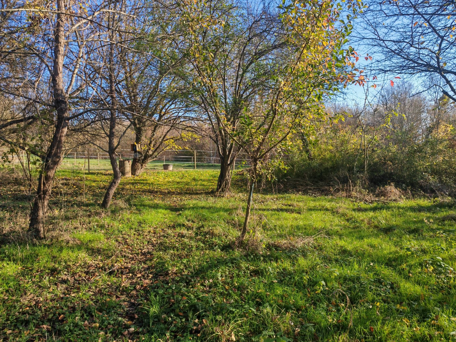(AAA) Groot landhuis op een zeer rustige, idyllische locatie, maar toch centraal gelegen – Alsópáhok, foto 57 van 57
