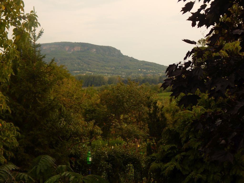 xxx – Kisapáti, foto 13 van 16