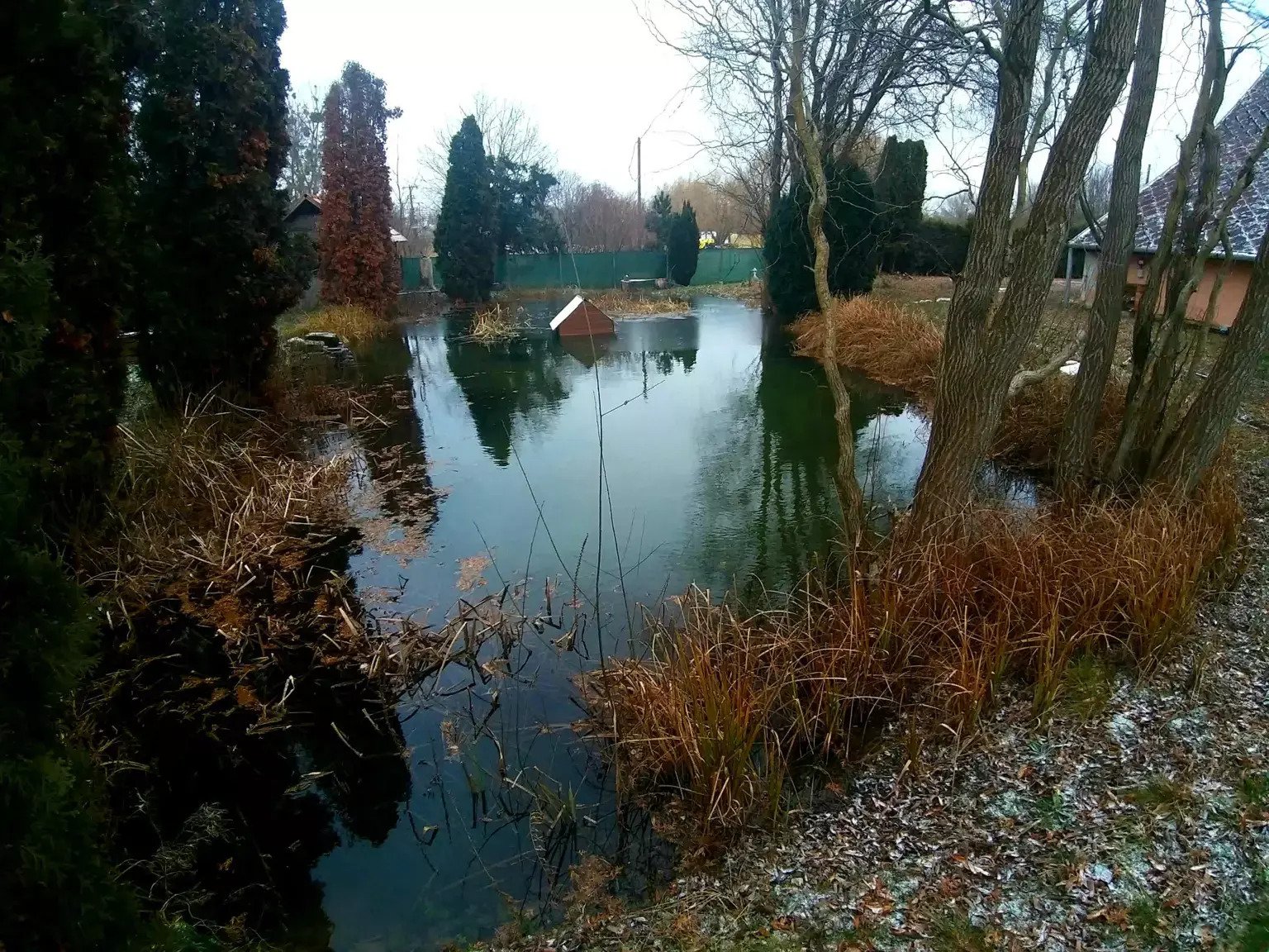 (BCA) Einzigartige Wohn- und Geschäftsmöglichkeit 1200 m vom Hévíz Thermal Seebad entfernt! – Alsópáhok, Bild 14 von 31