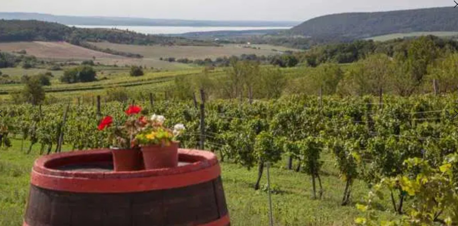 Private Luxury Lifestyle Estate - a ready-to-move-in nature retreat – Szakadát, photo 30 of 34