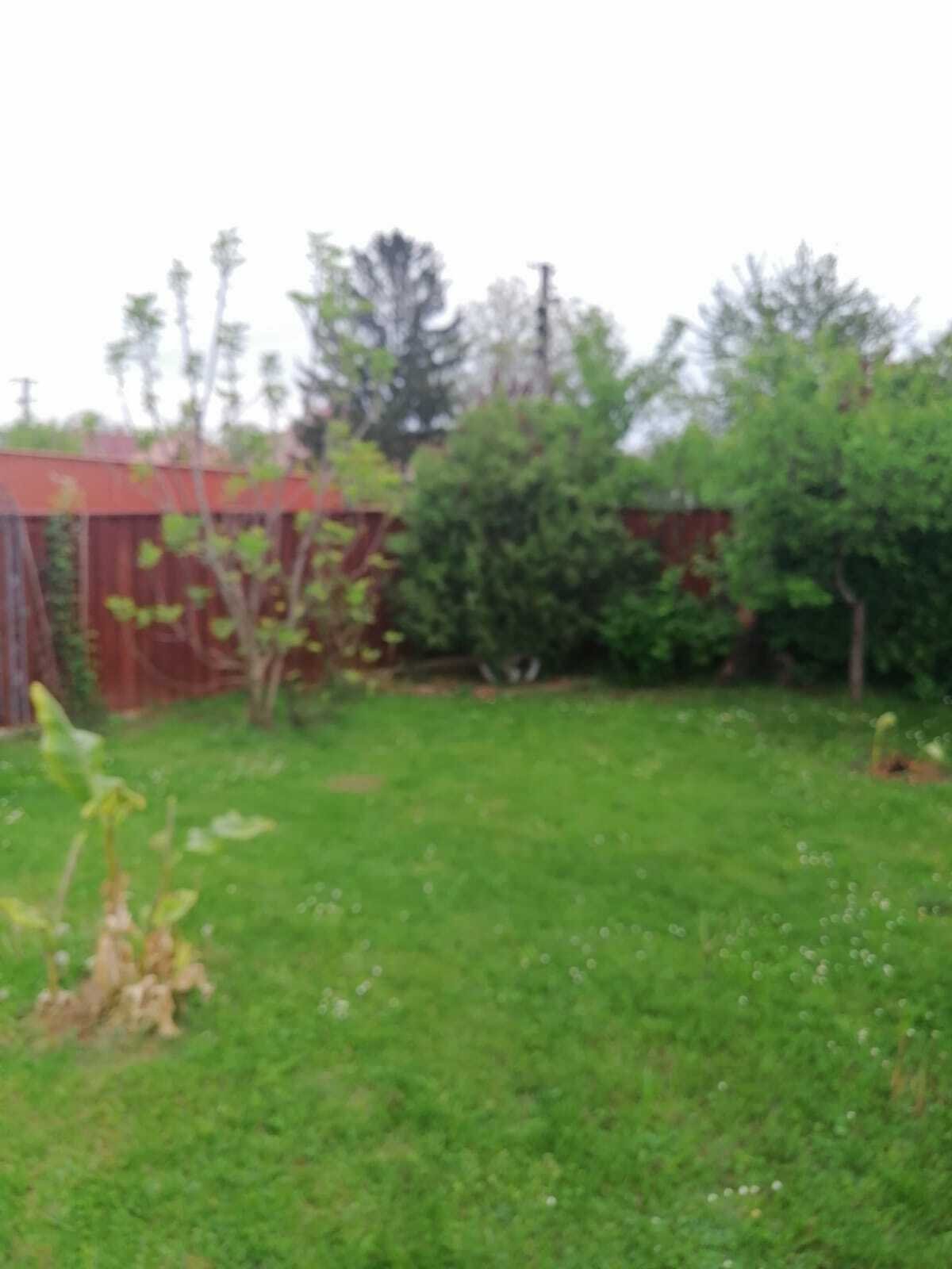 (A-B) Interessantes Baugrundstück in Seenähe & bereits mit Pool, schön eingewachsen – Balatonberény, Bild 5 von 10