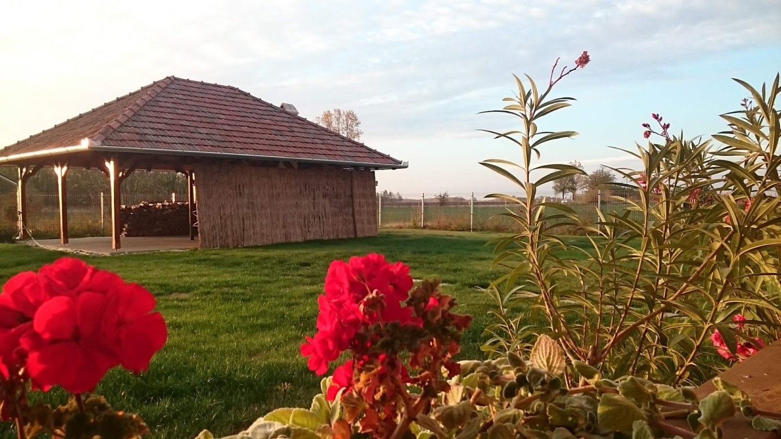 Tanya állattenyésztésre, amely 3 stúdiólakásból áll – Tiszaalpár, 13/20. kép