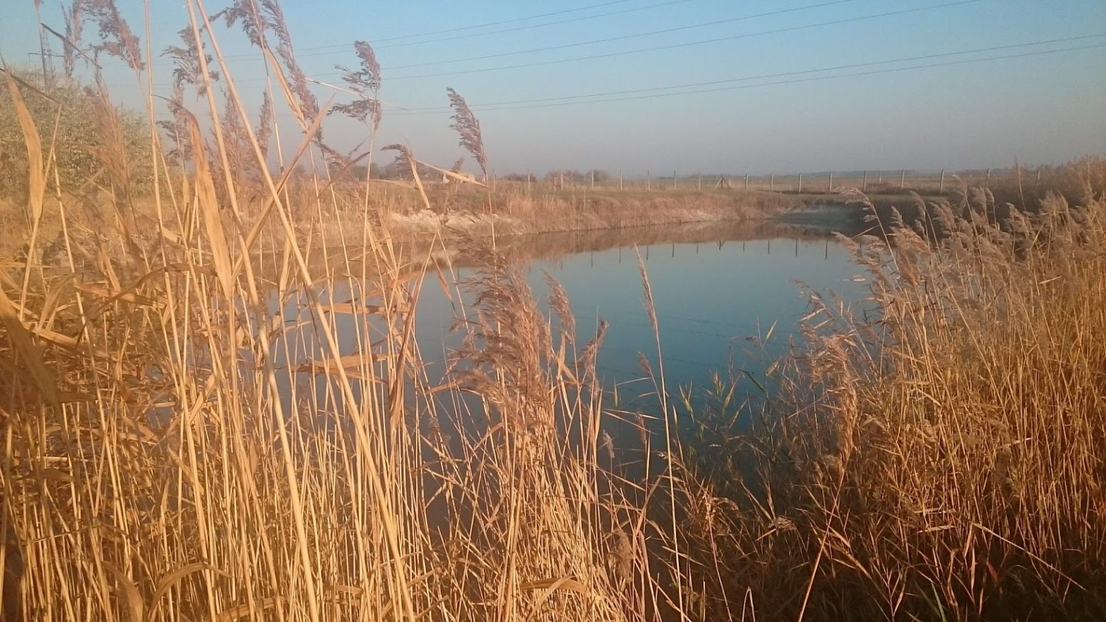 Tanya állattenyésztésre, amely 3 stúdiólakásból áll – Tiszaalpár, 15/20. kép