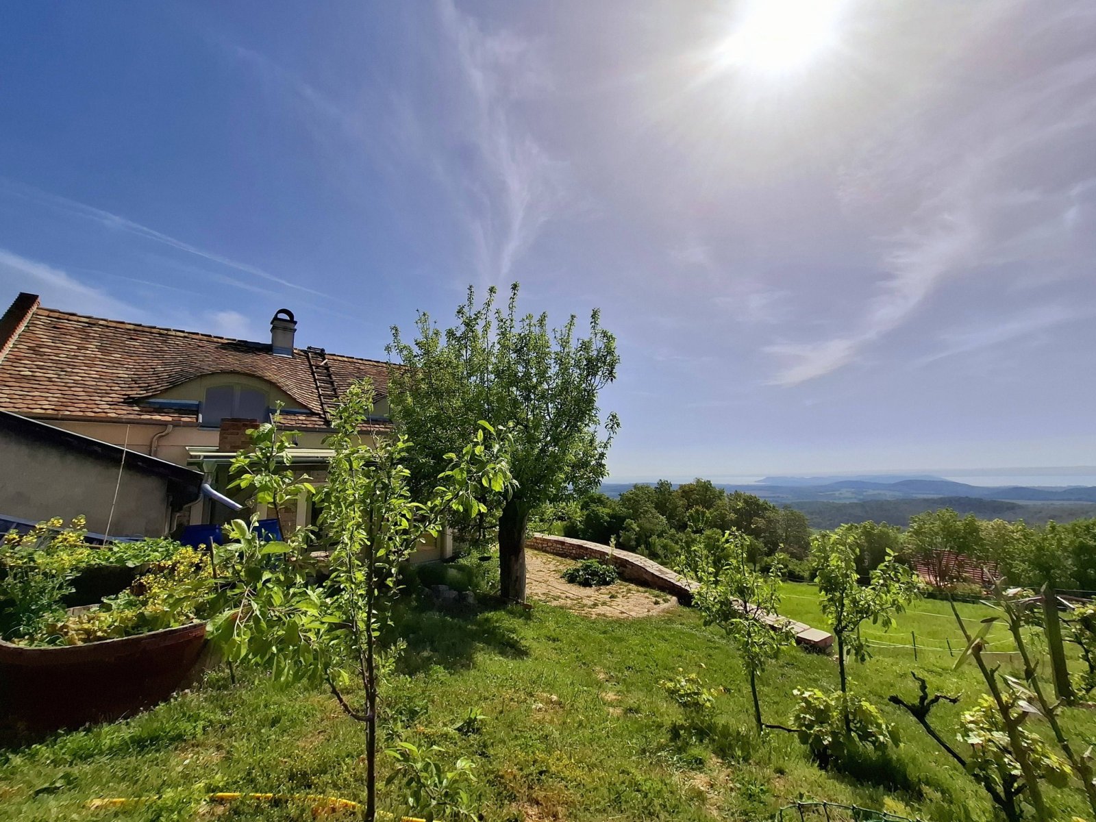 Exceptional properties combine nature, tranquility, comfort and independence across three plots of land. – bei Balatonszőlős, photo 4 of 34
