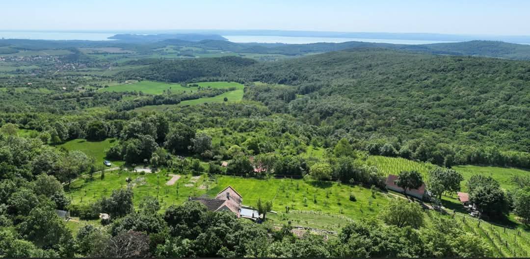 Exceptional properties combine nature, tranquility, comfort and independence across three plots of land. – bei Balatonszőlős, photo 5 of 34