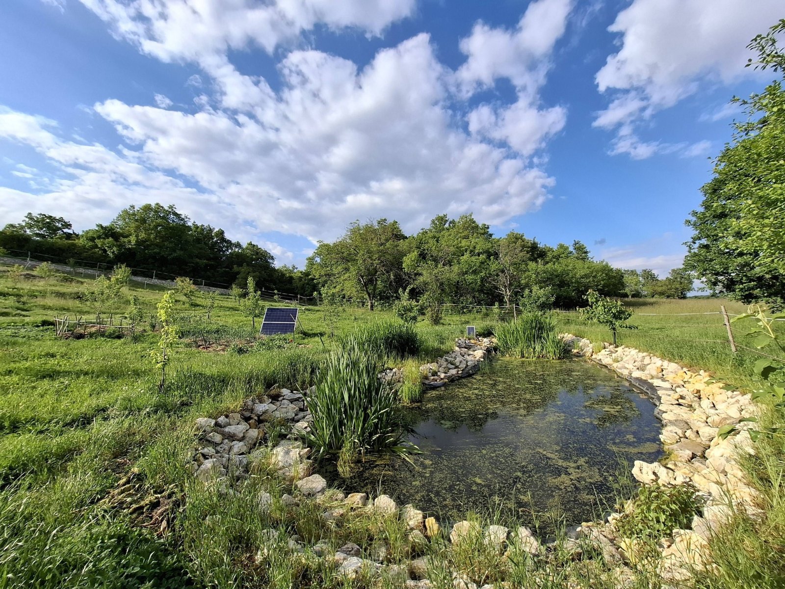 Exceptional properties combine nature, tranquility, comfort and independence across three plots of land. – bei Balatonszőlős, photo 6 of 34
