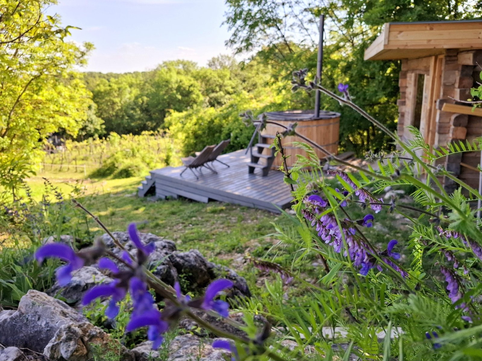 Exceptional properties combine nature, tranquility, comfort and independence across three plots of land. – bei Balatonszőlős, photo 8 of 34
