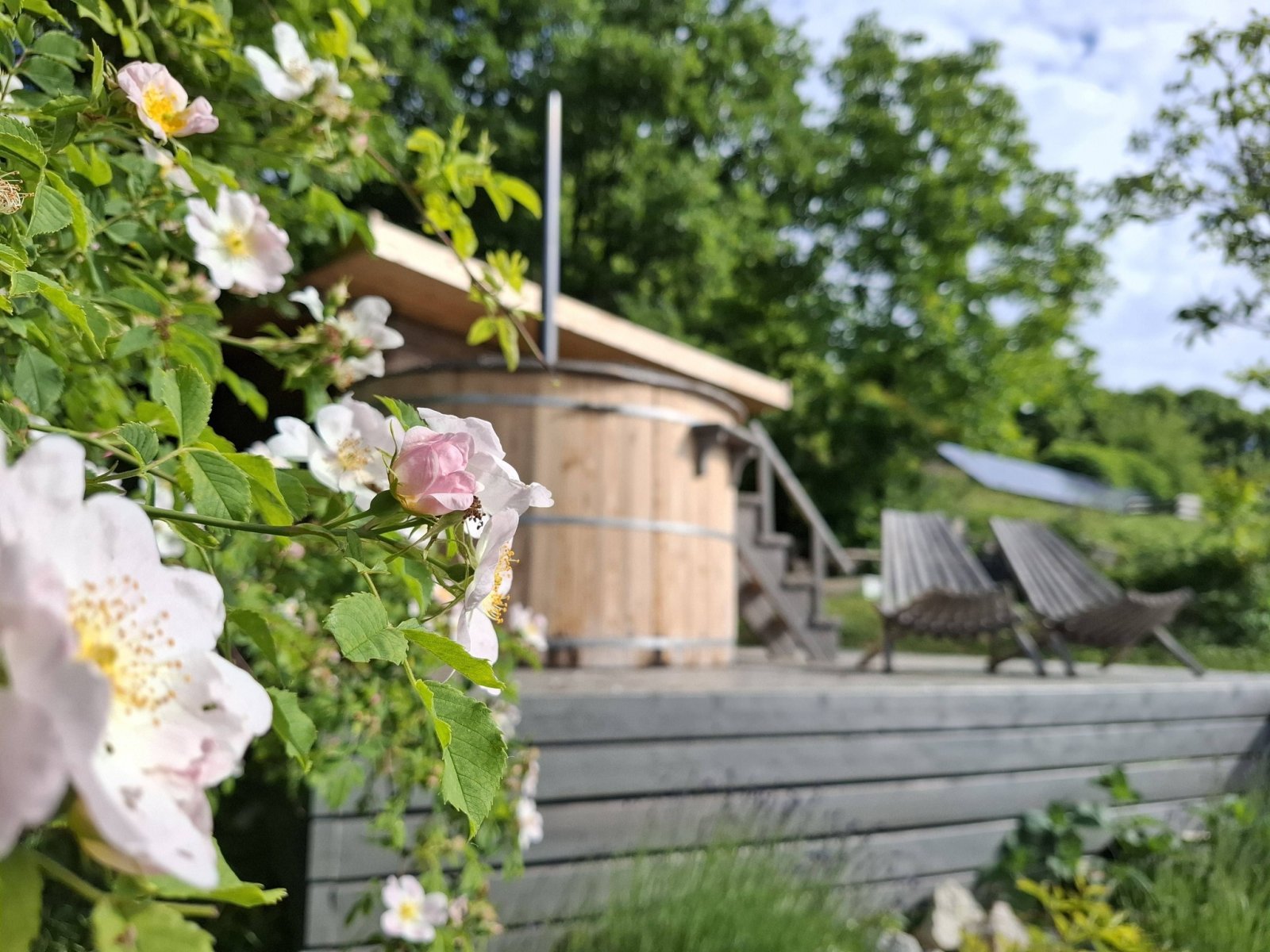 Exceptional properties combine nature, tranquility, comfort and independence across three plots of land. – bei Balatonszőlős, photo 13 of 34