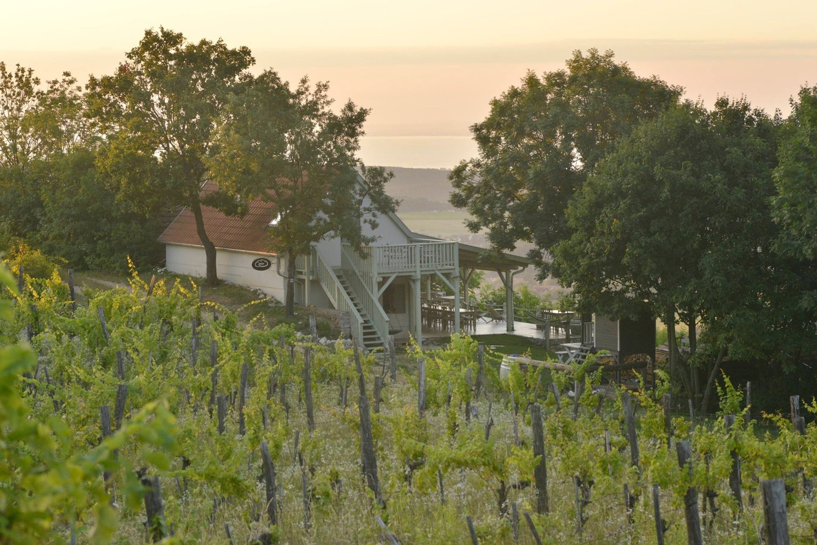 Exceptional properties combine nature, tranquility, comfort and independence across three plots of land. – bei Balatonszőlős, photo 24 of 34