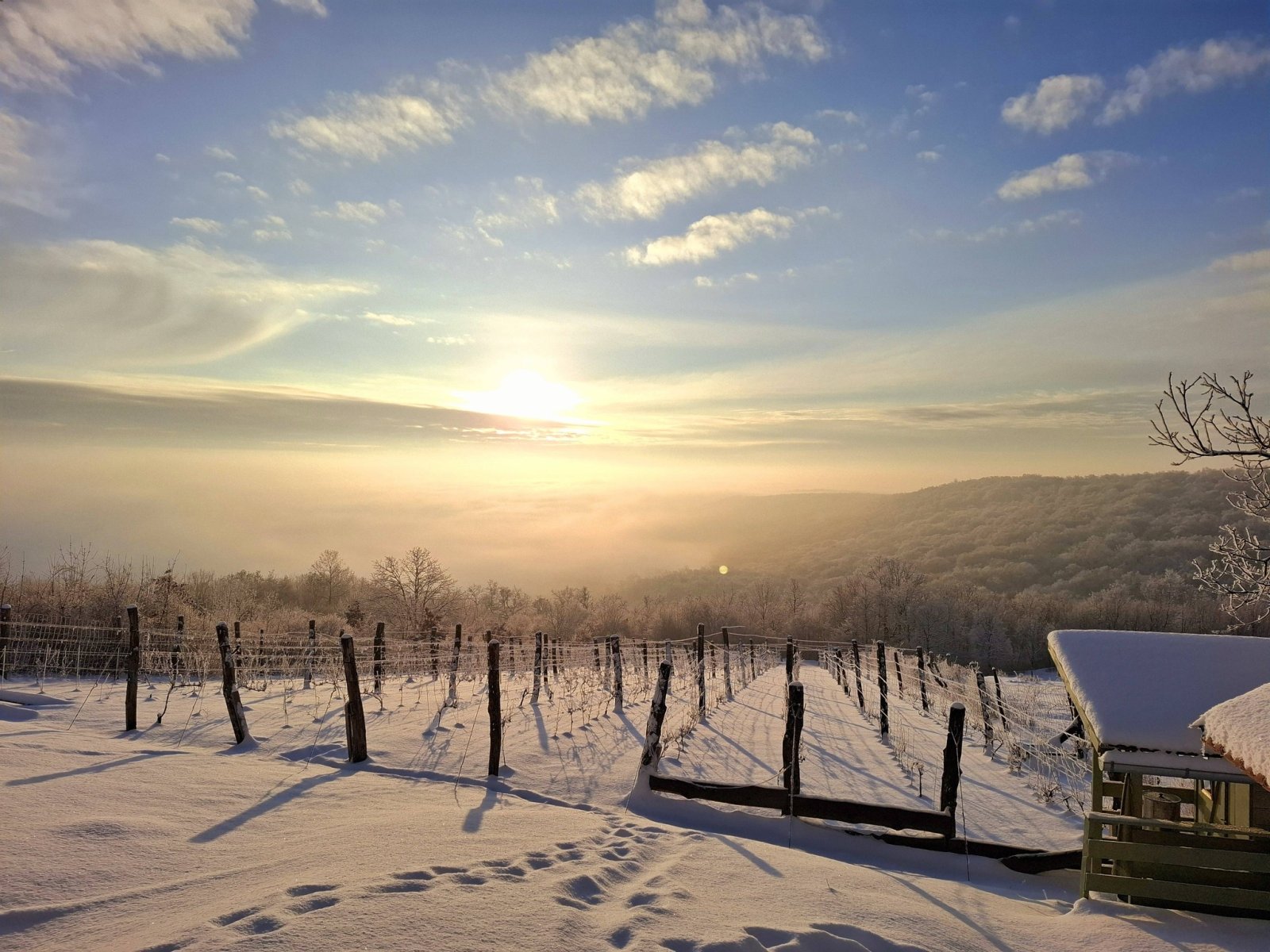 Exceptional properties combine nature, tranquility, comfort and independence across three plots of land. – bei Balatonszőlős, photo 31 of 34