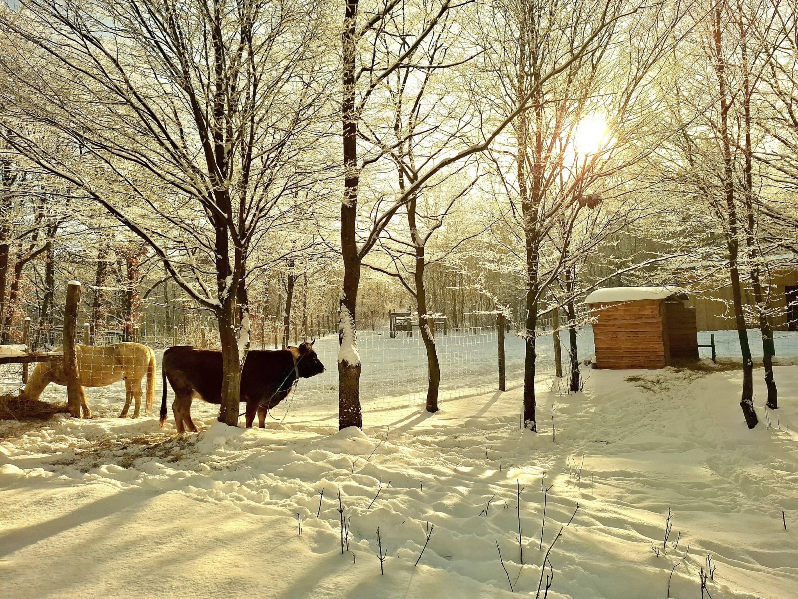 Exceptional properties combine nature, tranquility, comfort and independence across three plots of land. – bei Balatonszőlős, photo 32 of 34