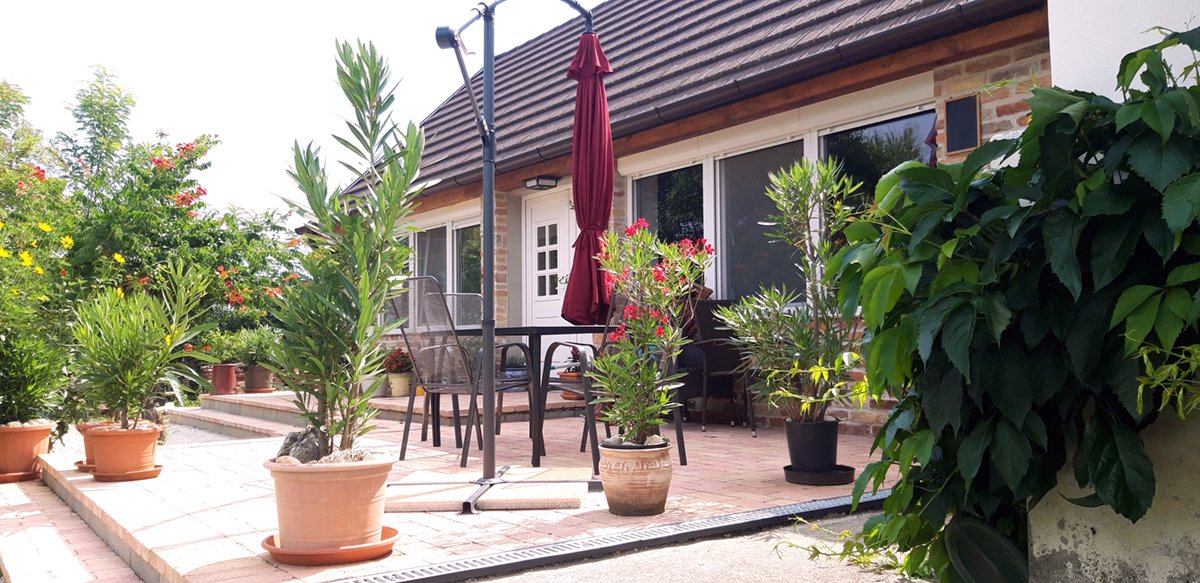 A beautifully renovated, unique detached house with an adjoining, versatile outbuilding. – Fehértó, photo 6 of 26