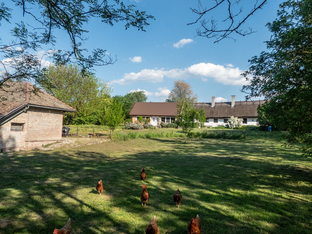 A beautifully renovated, unique detached house with an adjoining, versatile outbuilding. – Fehértó, photo 16 of 26