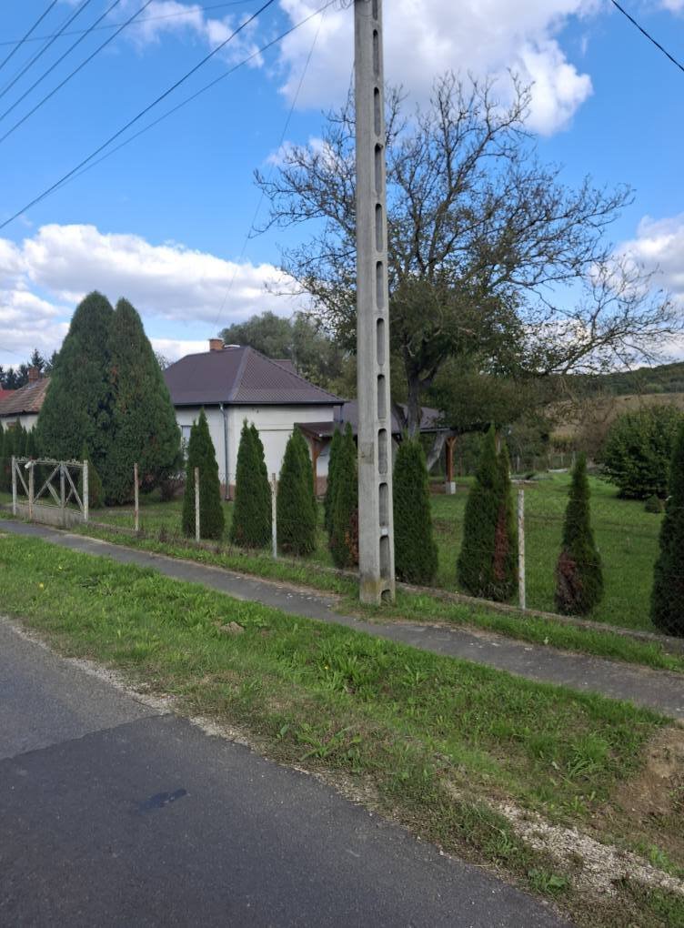 (BBA) Renovierte Einfamilienhaus im Dreiländereck – Borsfa, Bild 3 von 21