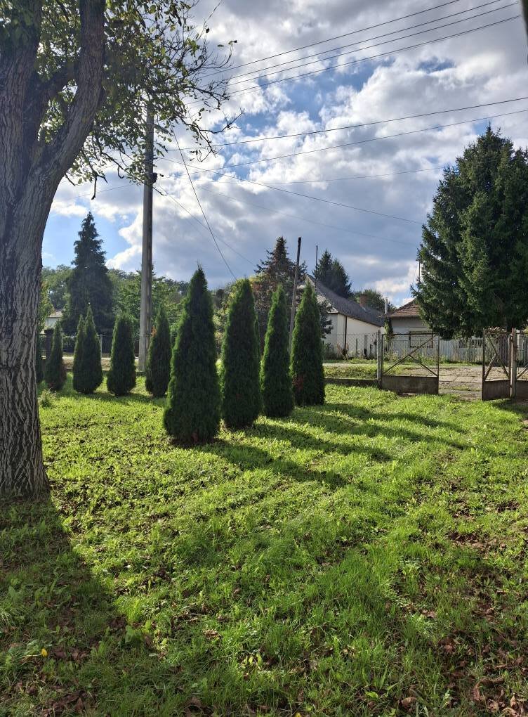 (BBA) Renovierte Einfamilienhaus im Dreiländereck – Borsfa, Bild 7 von 21