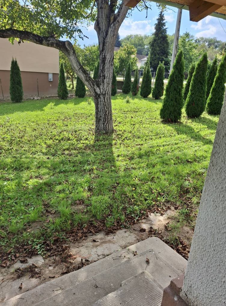 (BBA) Renovierte Einfamilienhaus im Dreiländereck – Borsfa, Bild 9 von 21