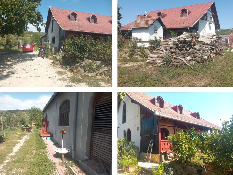 Beroemd wijnbouwershuis als pension of privé-landhuis (ABA-FB2873) – Siklós, foto 2 van 13