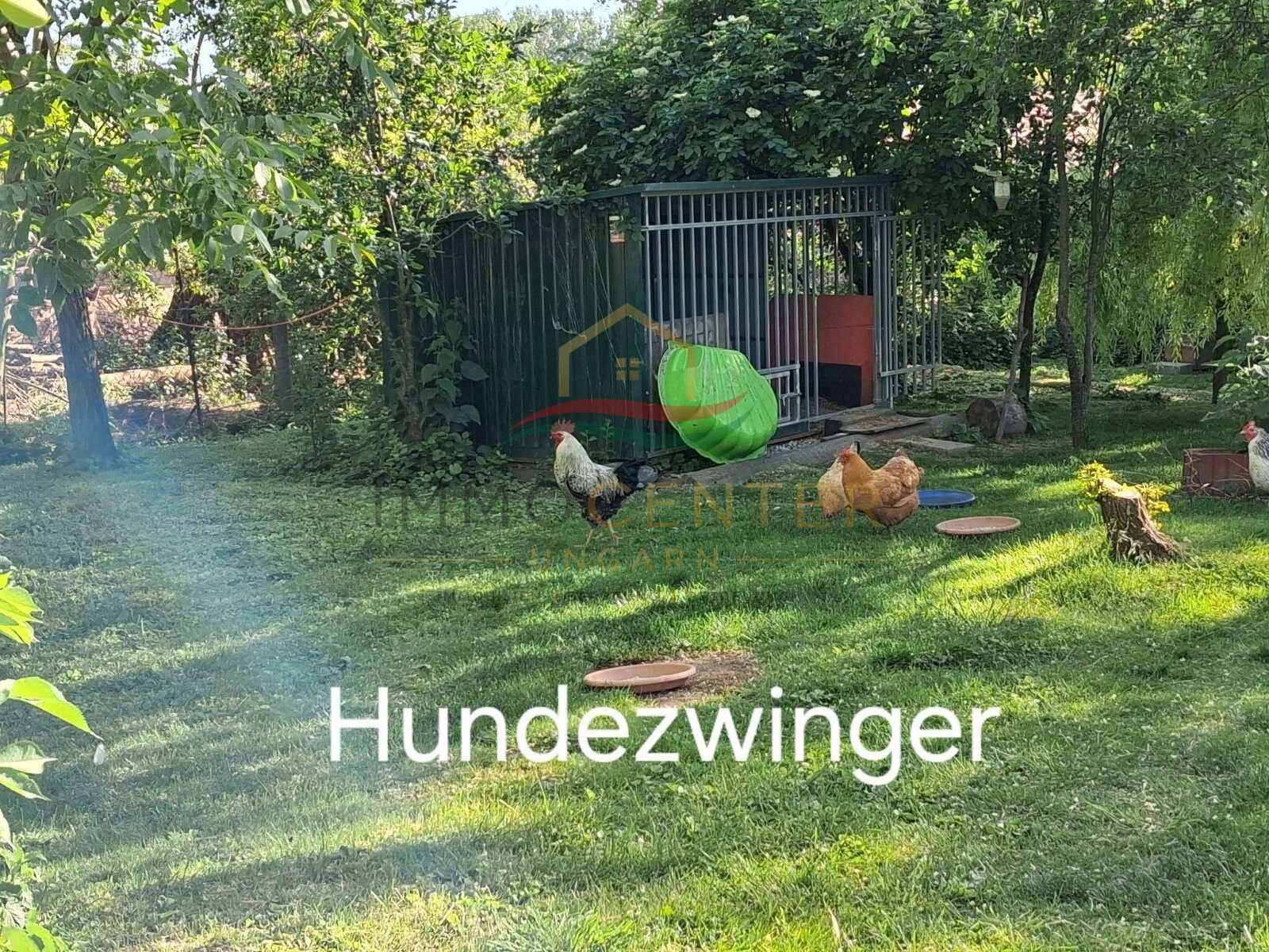 (BAA) Bio-Bauernhof in idyllischer Lage des südlichen Balaton-Hinterlandes – Bedegkér, Bild 16 von 31