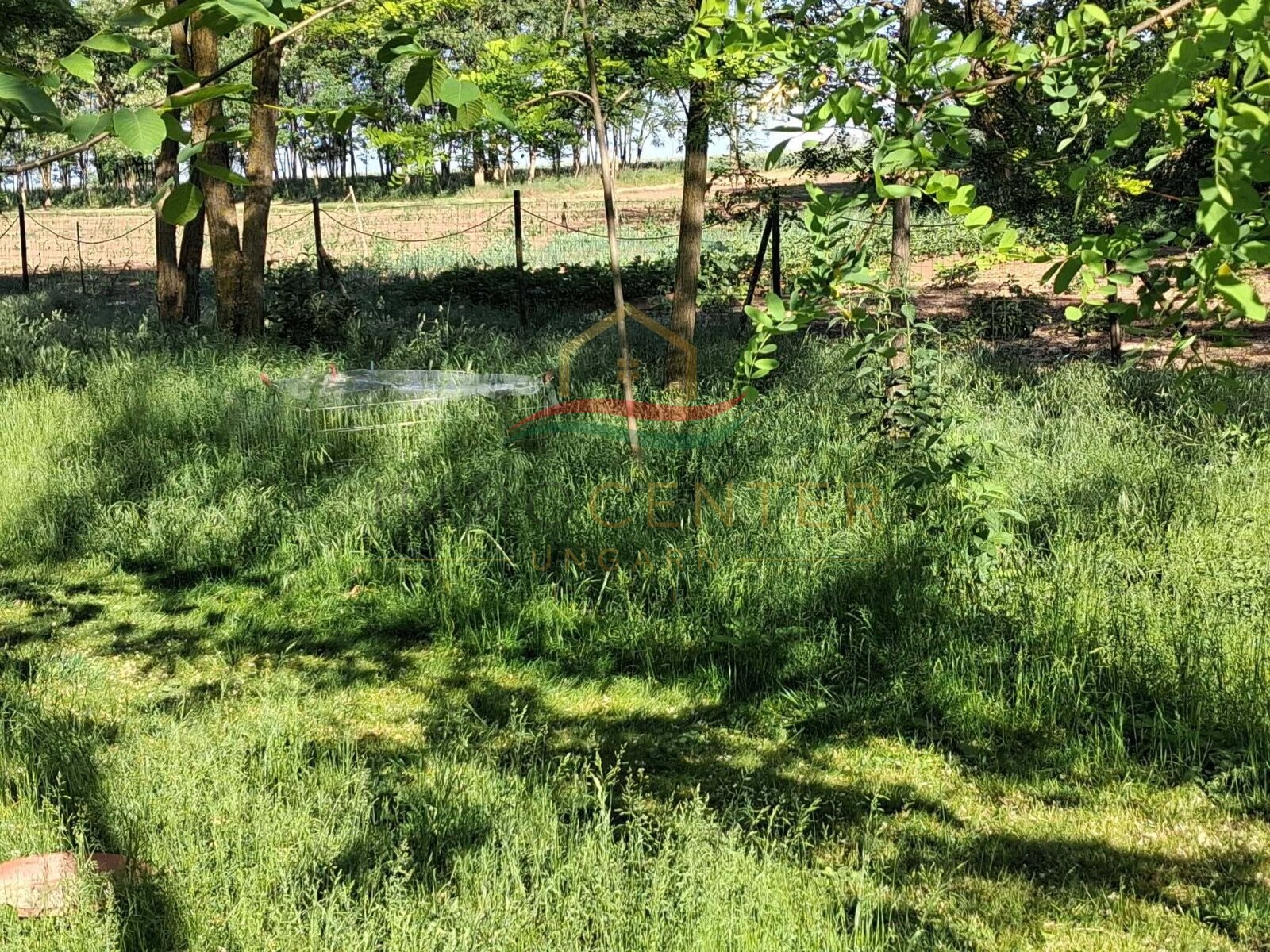 (BAA) Bio-Bauernhof in idyllischer Lage des südlichen Balaton-Hinterlandes – Bedegkér, Bild 23 von 31