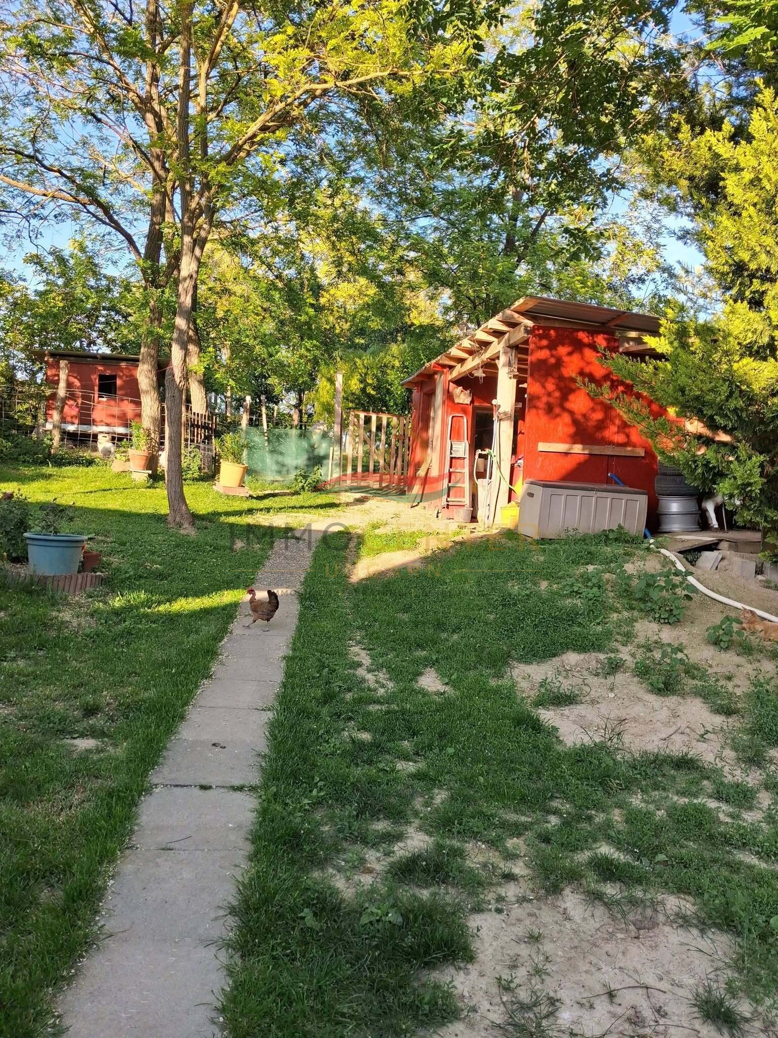 (BAA) Bio-Bauernhof in idyllischer Lage des südlichen Balaton-Hinterlandes – Bedegkér, Bild 26 von 31
