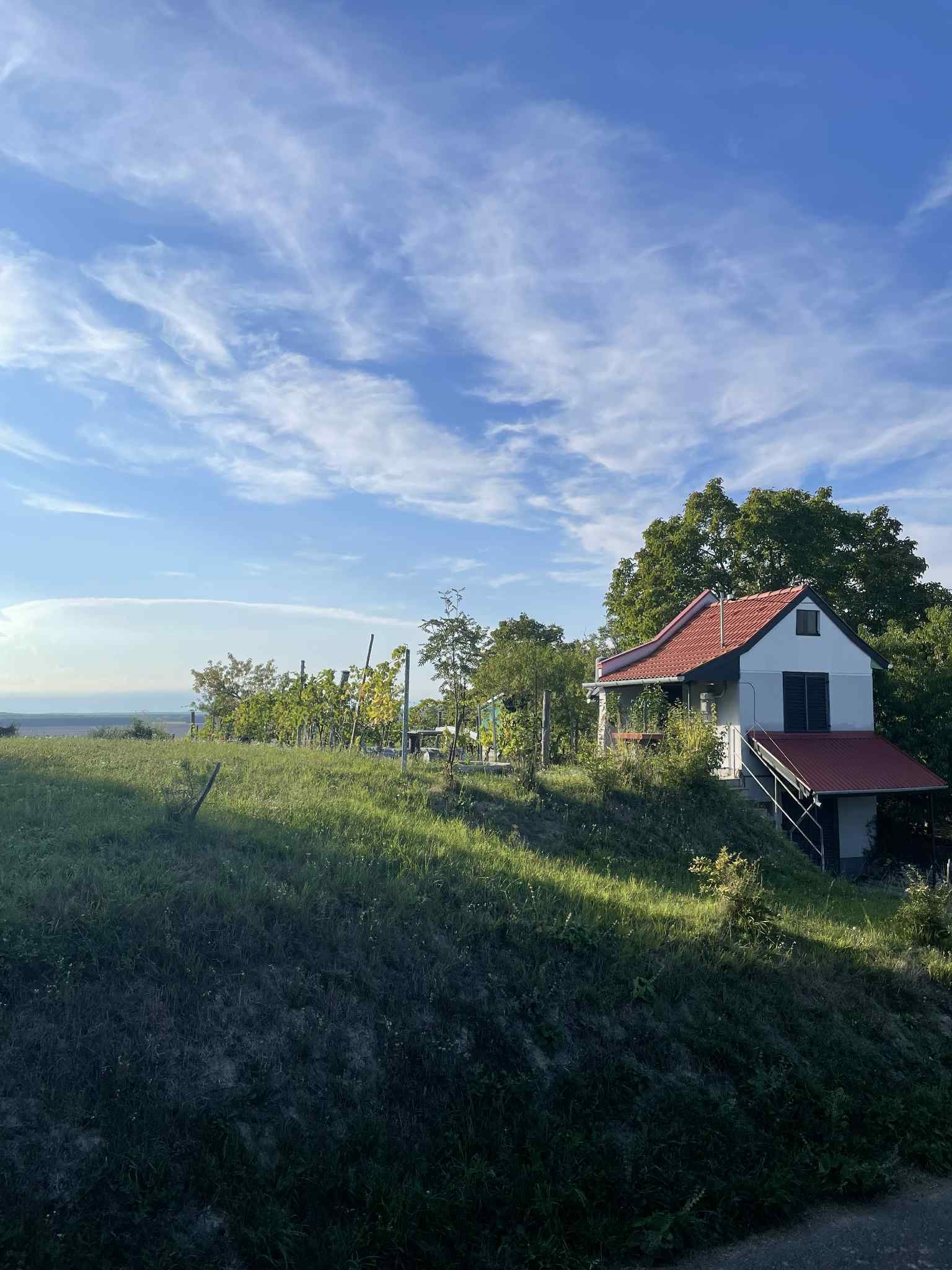 (ACA) Weinberg Pinze mit Panoramablick – Zalaistvánd, Bild 4 von 10