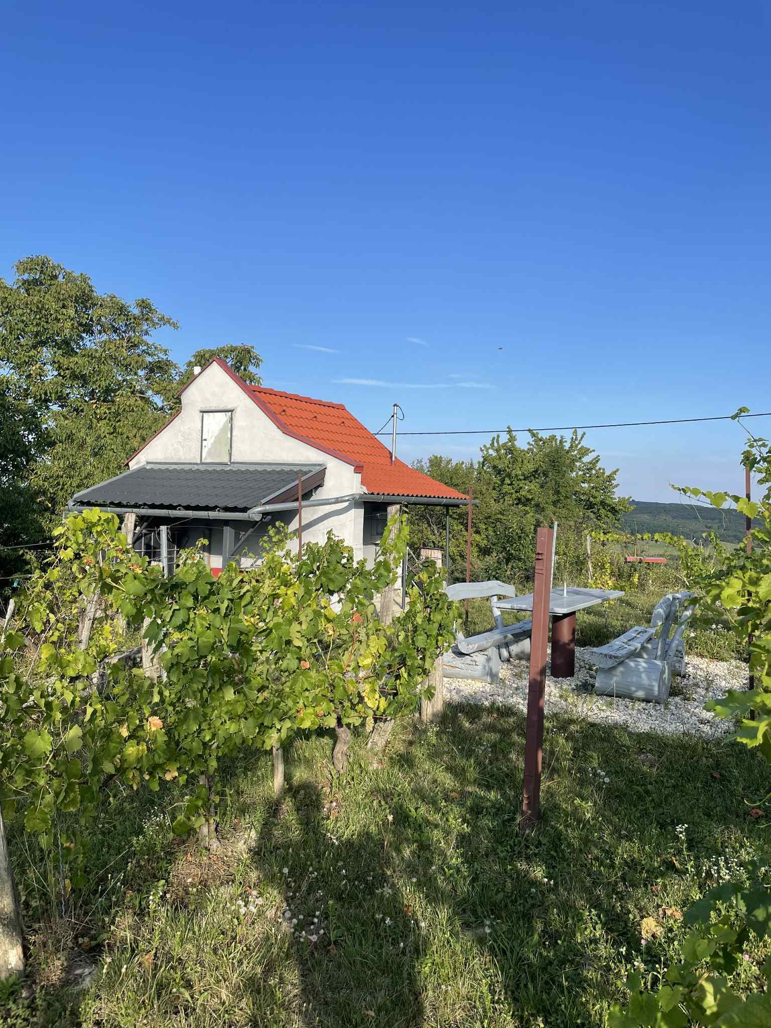 (ACA) Weinberg Pinze mit Panoramablick – Zalaistvánd, Bild 9 von 10