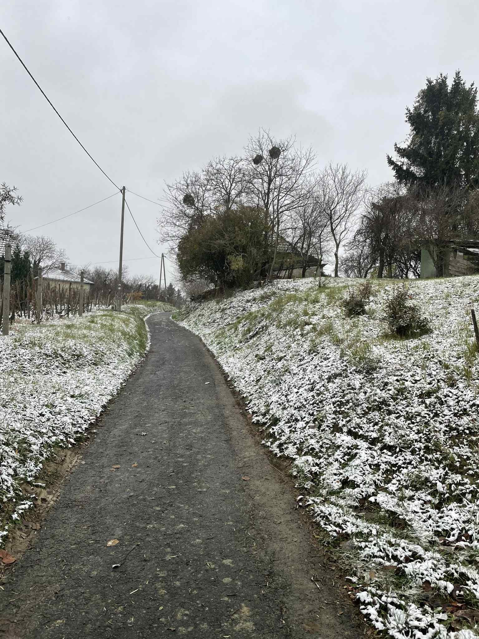 (ACA) Weinberg Pinze mit Panoramablick – Zalaistvánd, Bild 10 von 10