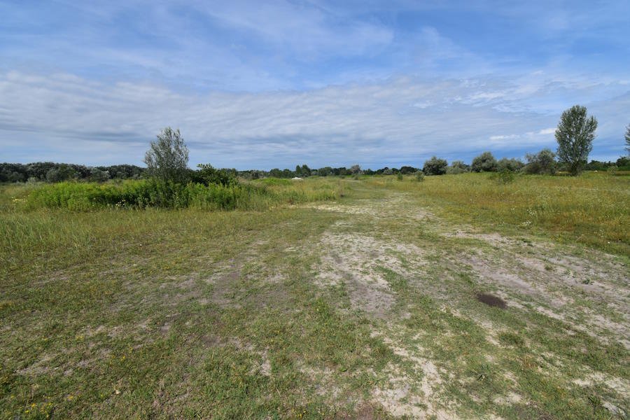 Incredible investment property with long-term opportunities in the immediate vicinity of Lake Balaton – bei Balatonfenyves, photo 7 of 9
