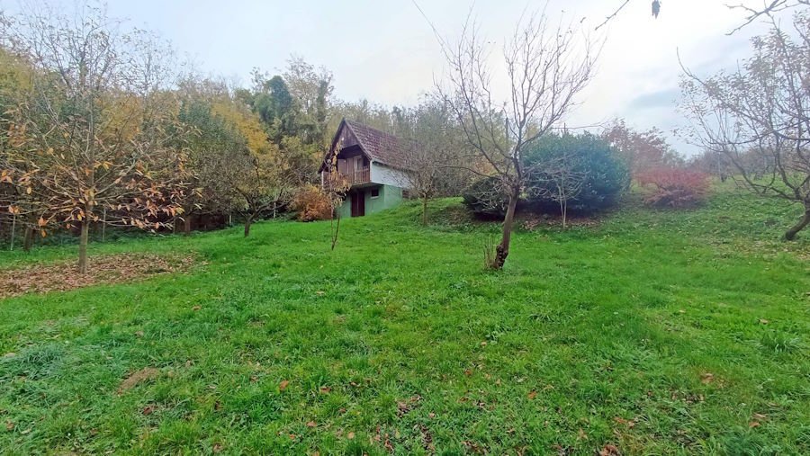 (ABA) Small vineyard cottage in almost secluded location, available immediately – Gelse, photo 3 of 23
